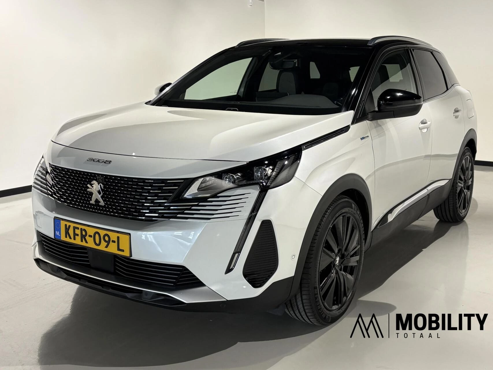 Hoofdafbeelding Peugeot 3008