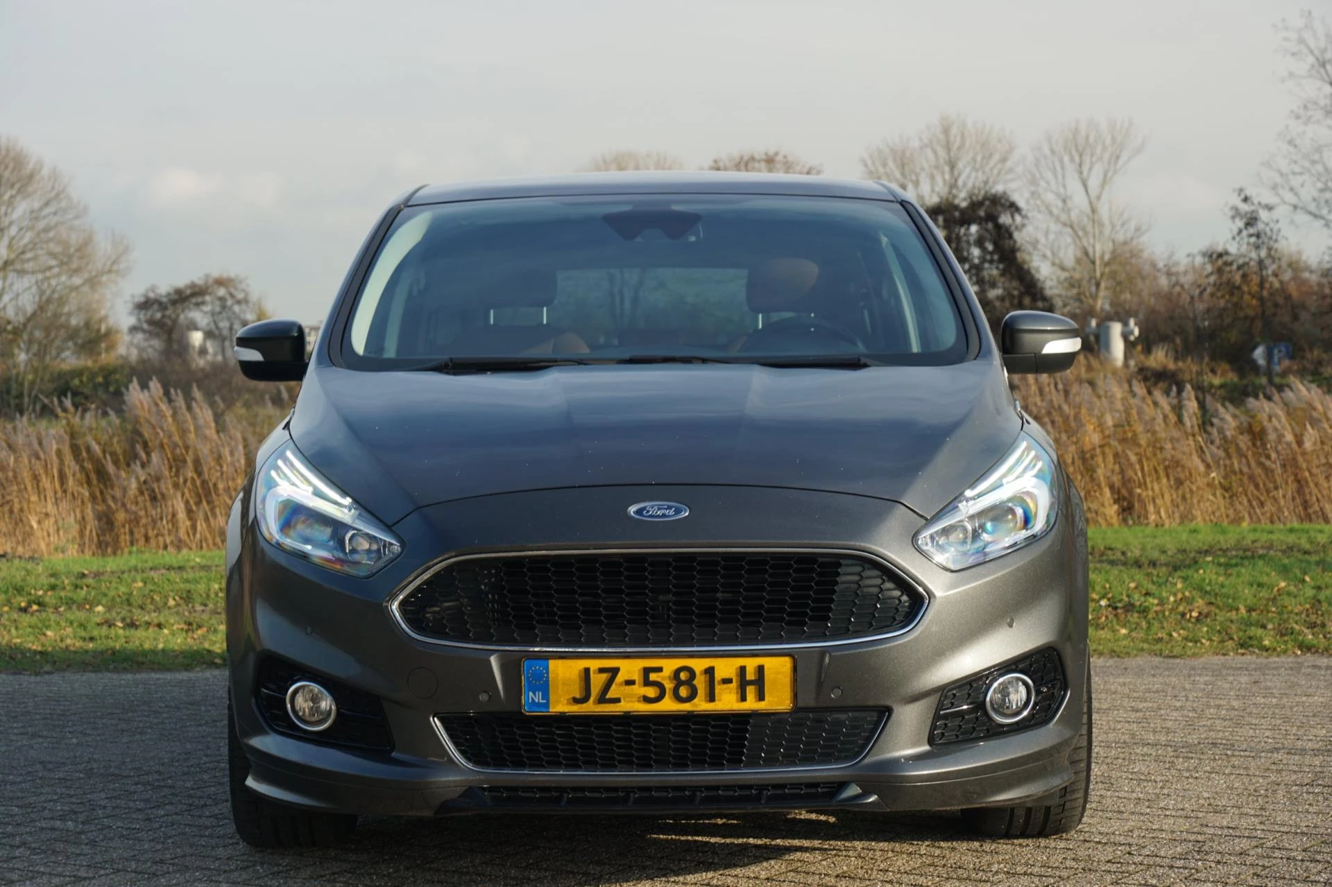 Hoofdafbeelding Ford S-Max