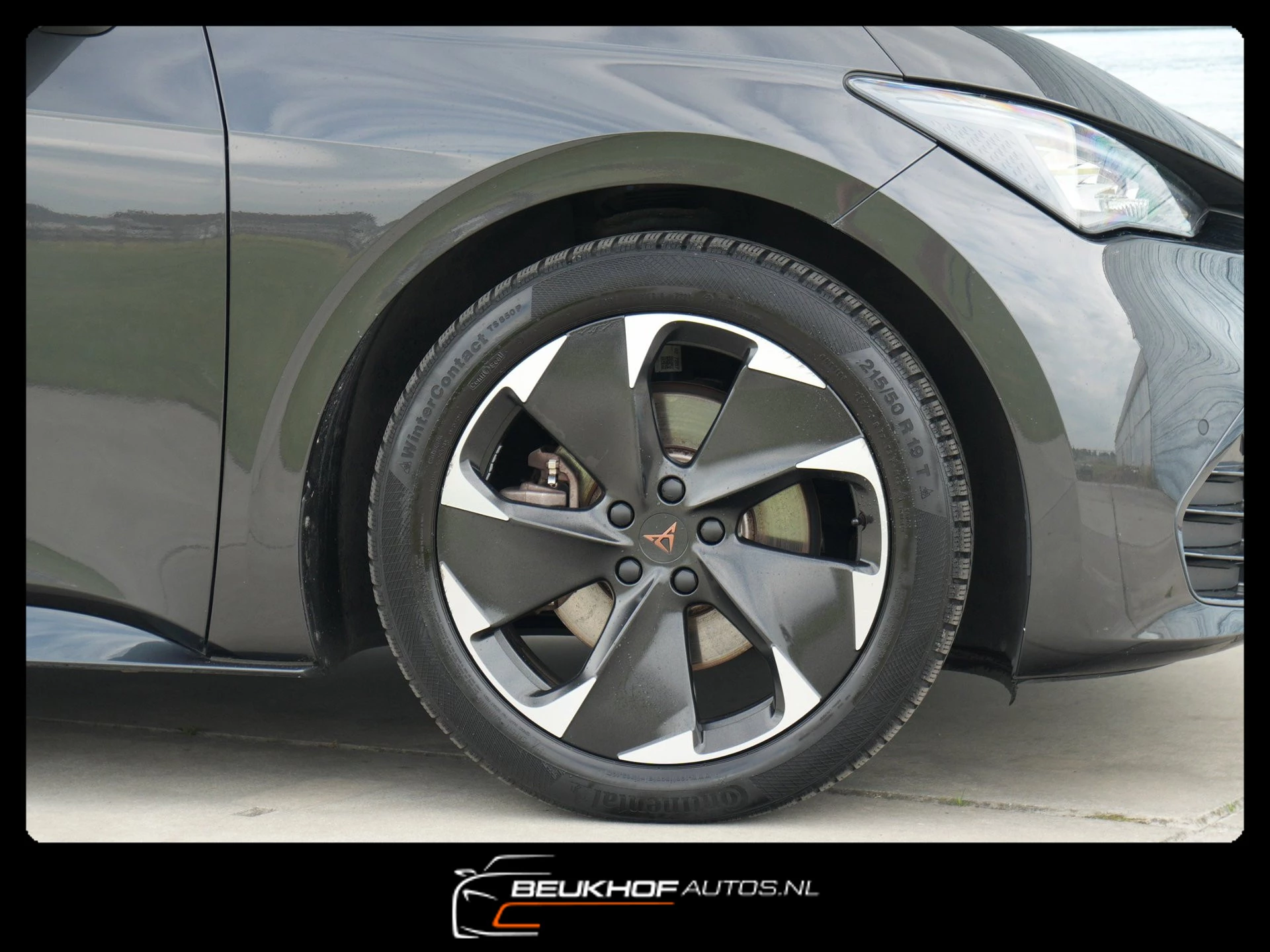 Hoofdafbeelding CUPRA Born