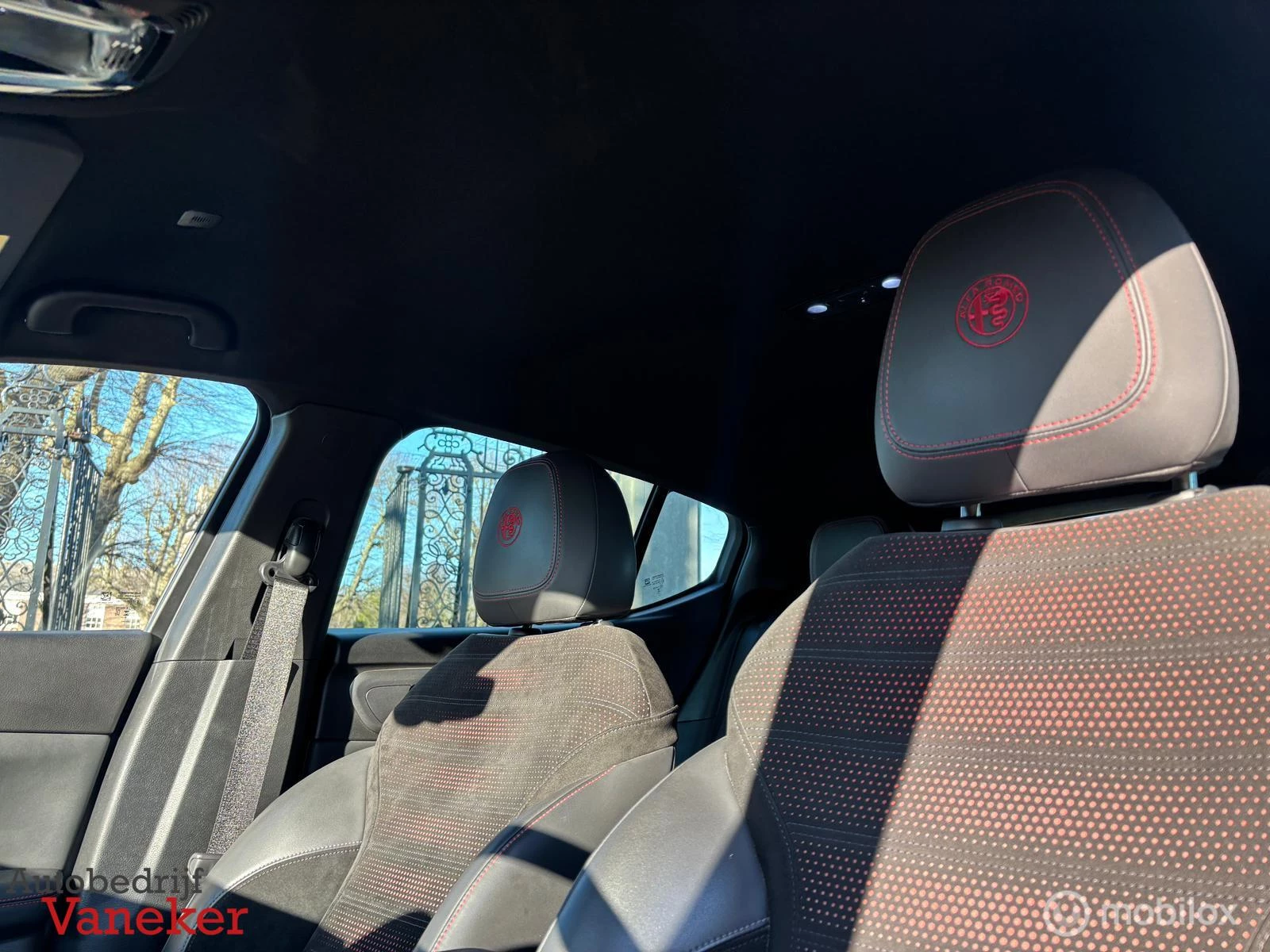 Hoofdafbeelding Alfa Romeo Tonale