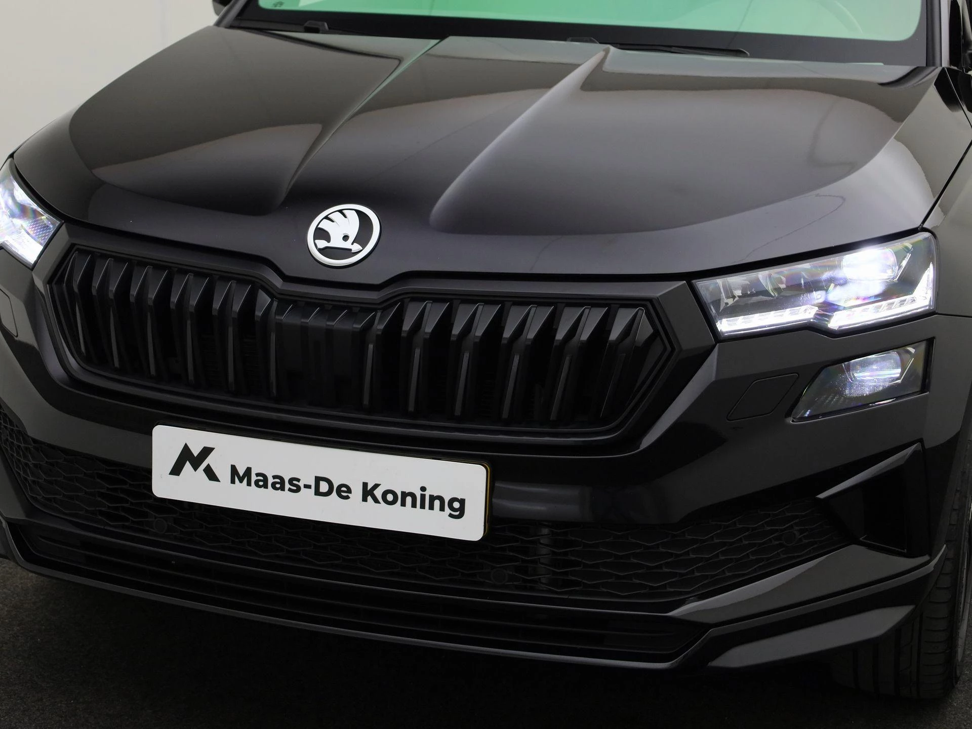 Hoofdafbeelding Škoda Kamiq