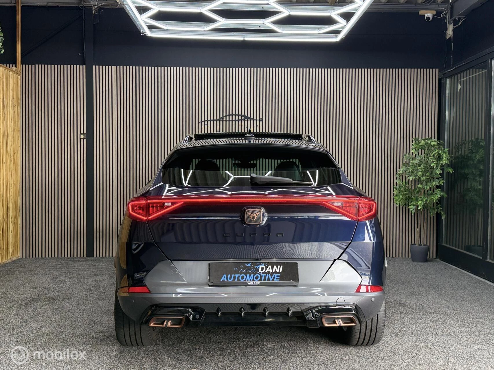 Hoofdafbeelding CUPRA Formentor