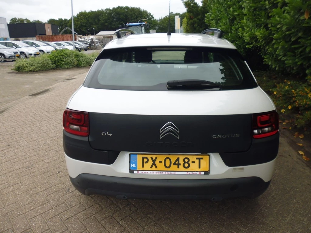Hoofdafbeelding Citroën C4 Cactus