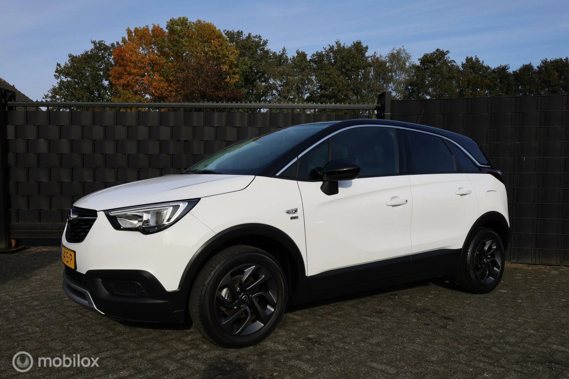 Hoofdafbeelding Opel Crossland X