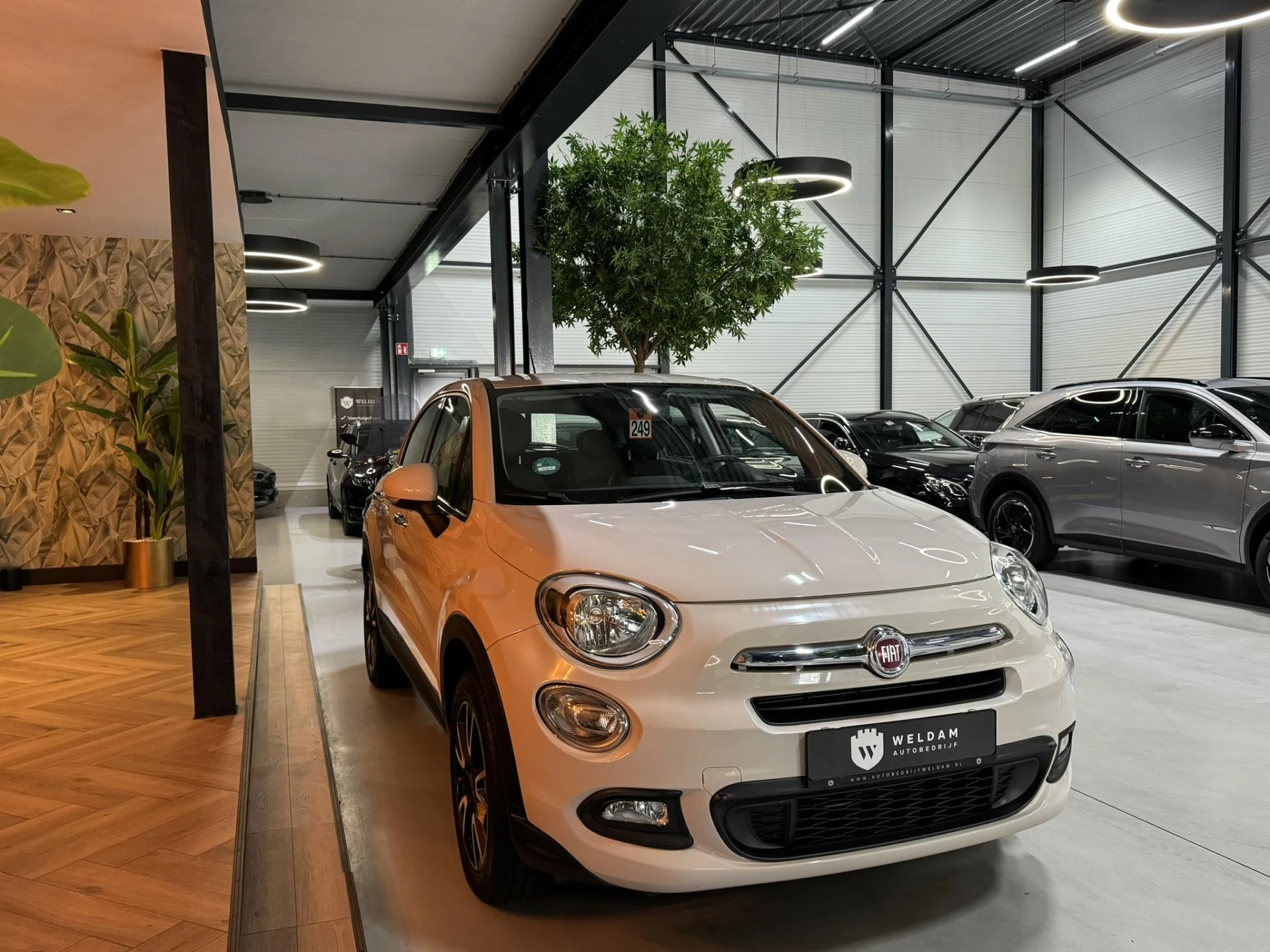 Hoofdafbeelding Fiat 500X