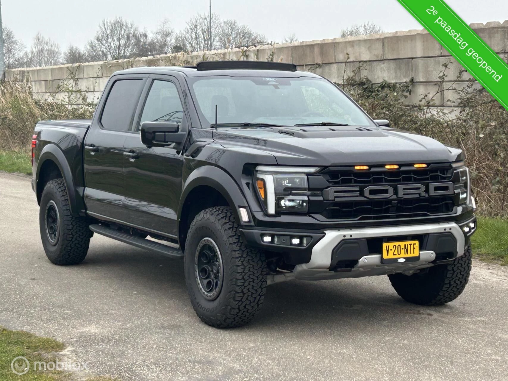 Hoofdafbeelding Ford F-150