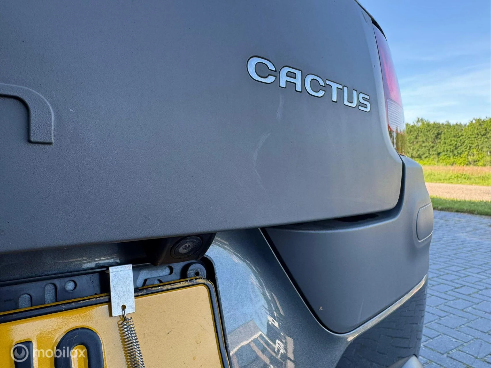 Hoofdafbeelding Citroën C4 Cactus