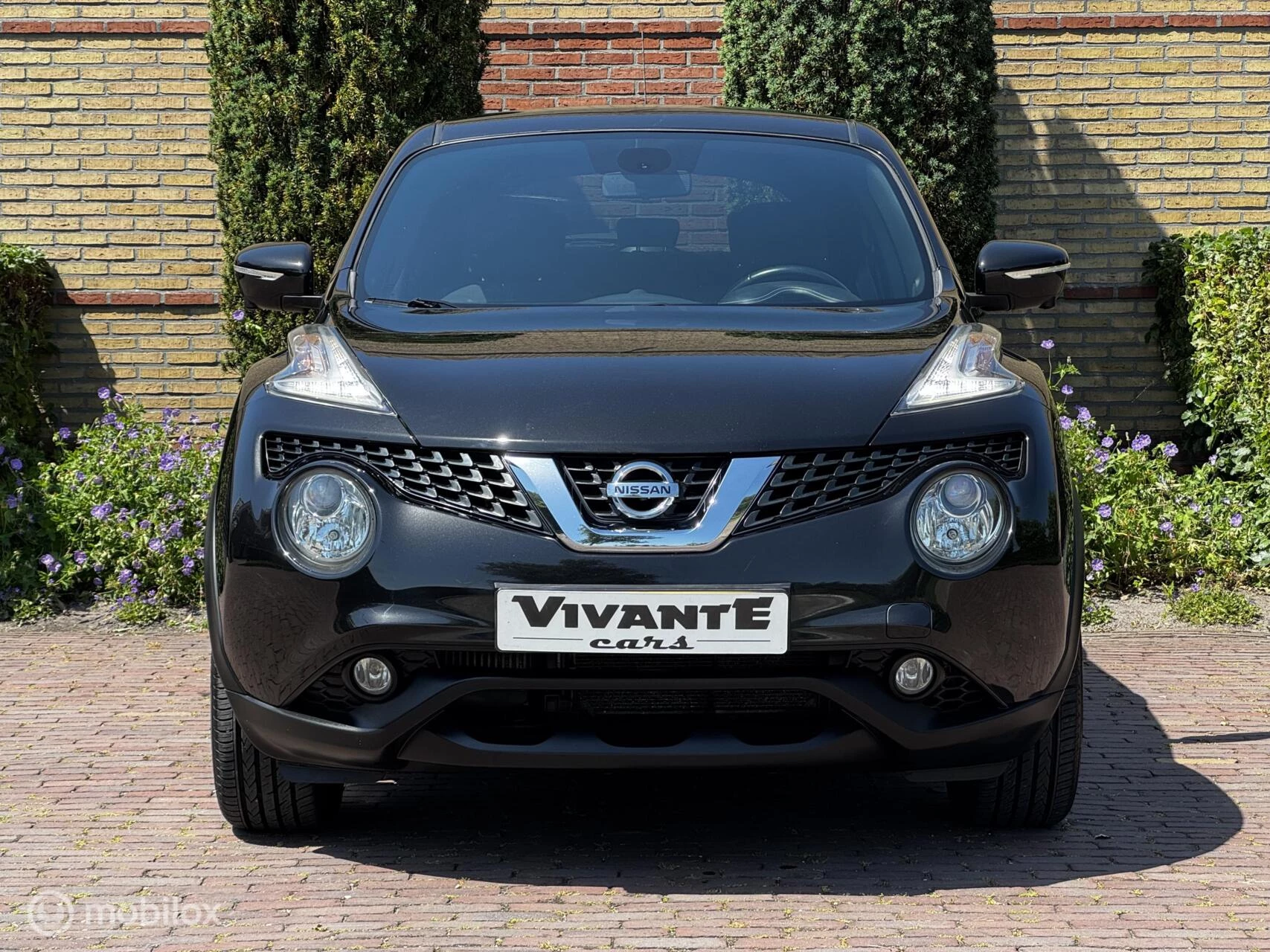 Hoofdafbeelding Nissan Juke