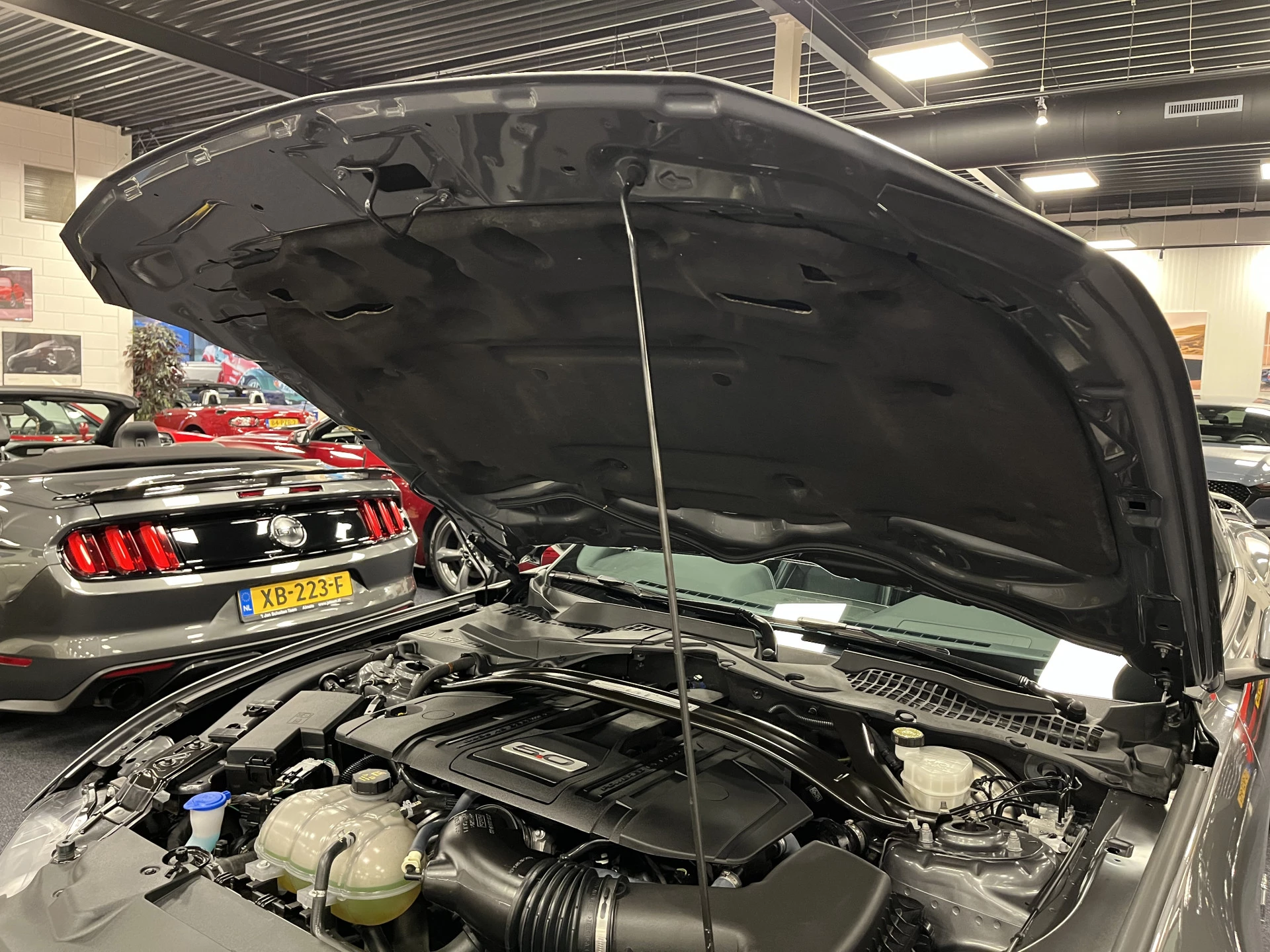 Hoofdafbeelding Ford Mustang