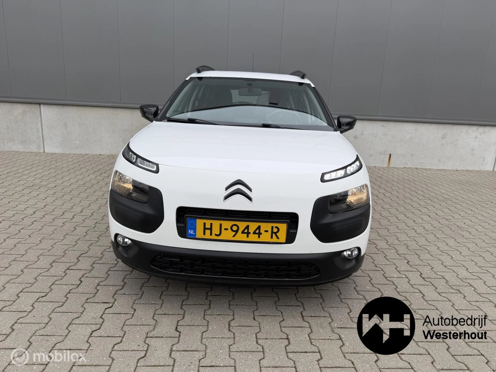 Hoofdafbeelding Citroën C4 Cactus