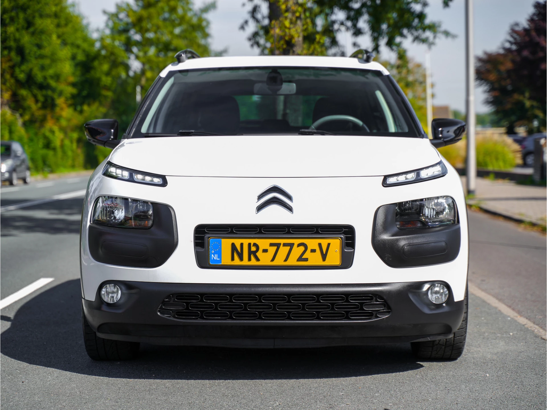 Hoofdafbeelding Citroën C4 Cactus