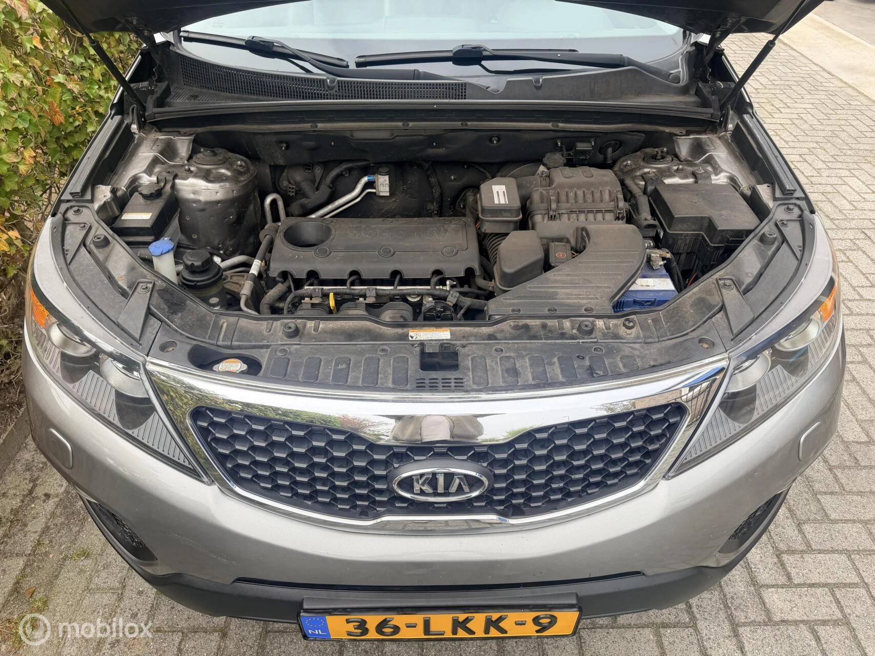 Hoofdafbeelding Kia Sorento