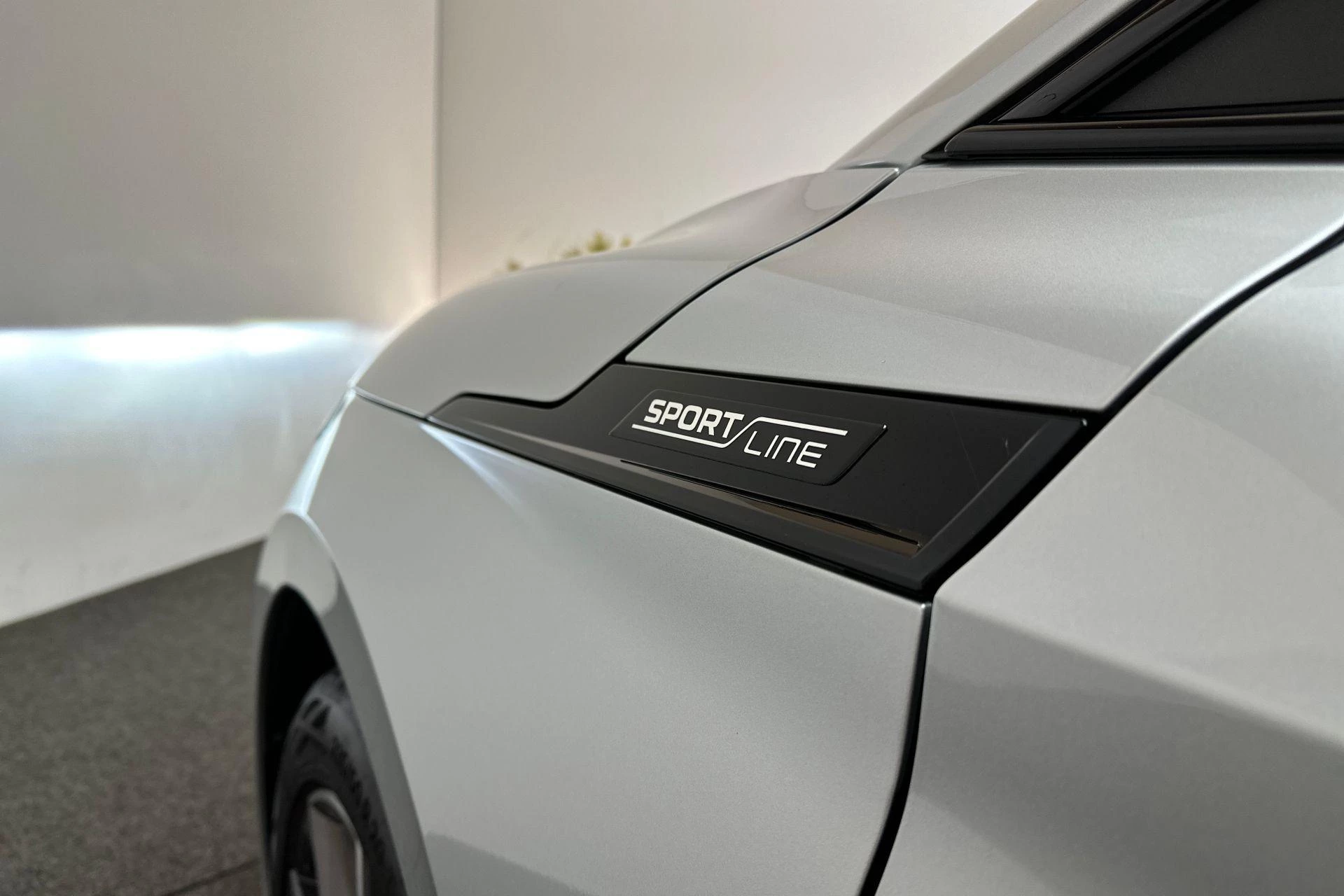 Hoofdafbeelding Škoda Enyaq iV