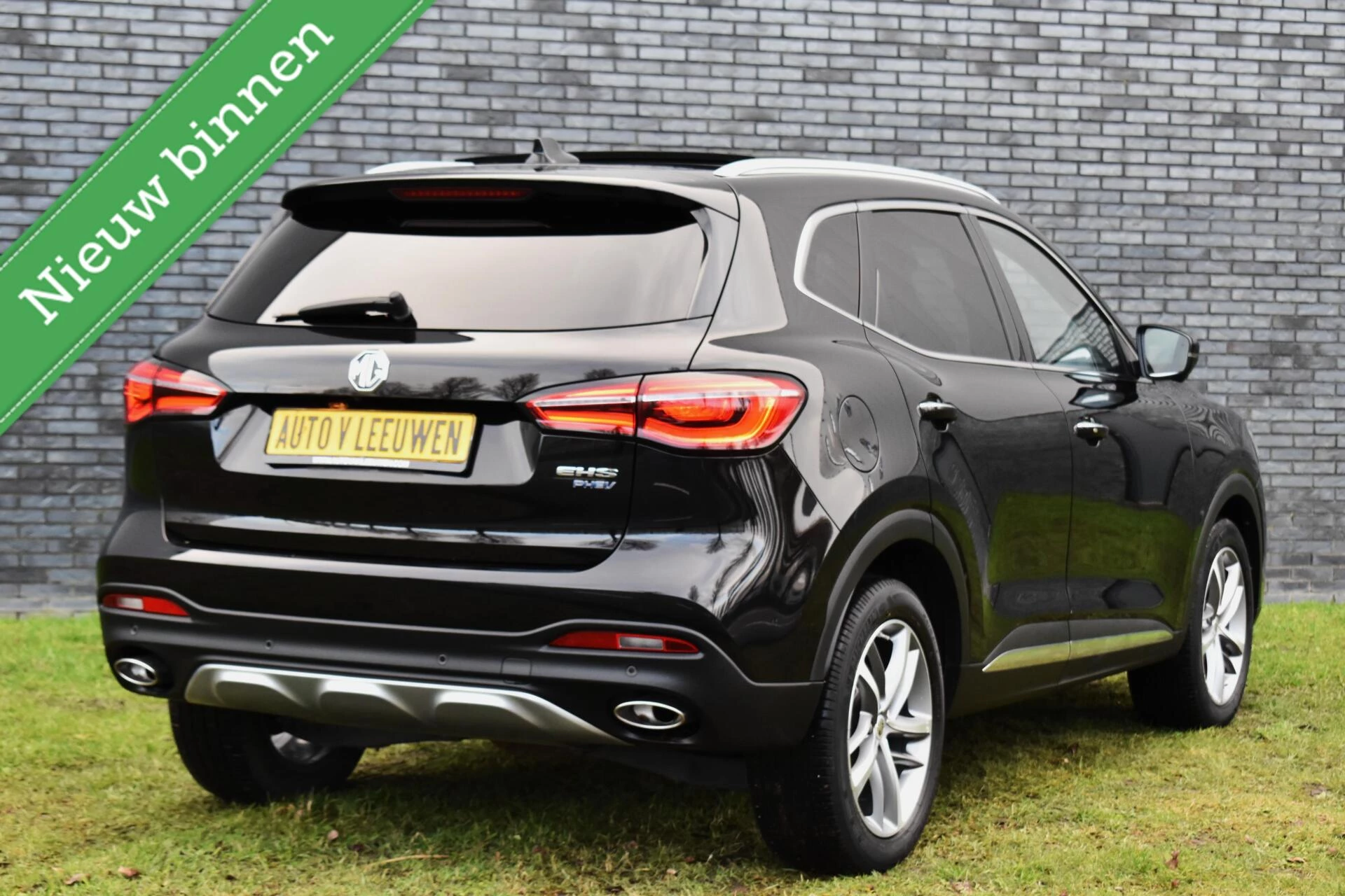 Hoofdafbeelding MG EHS