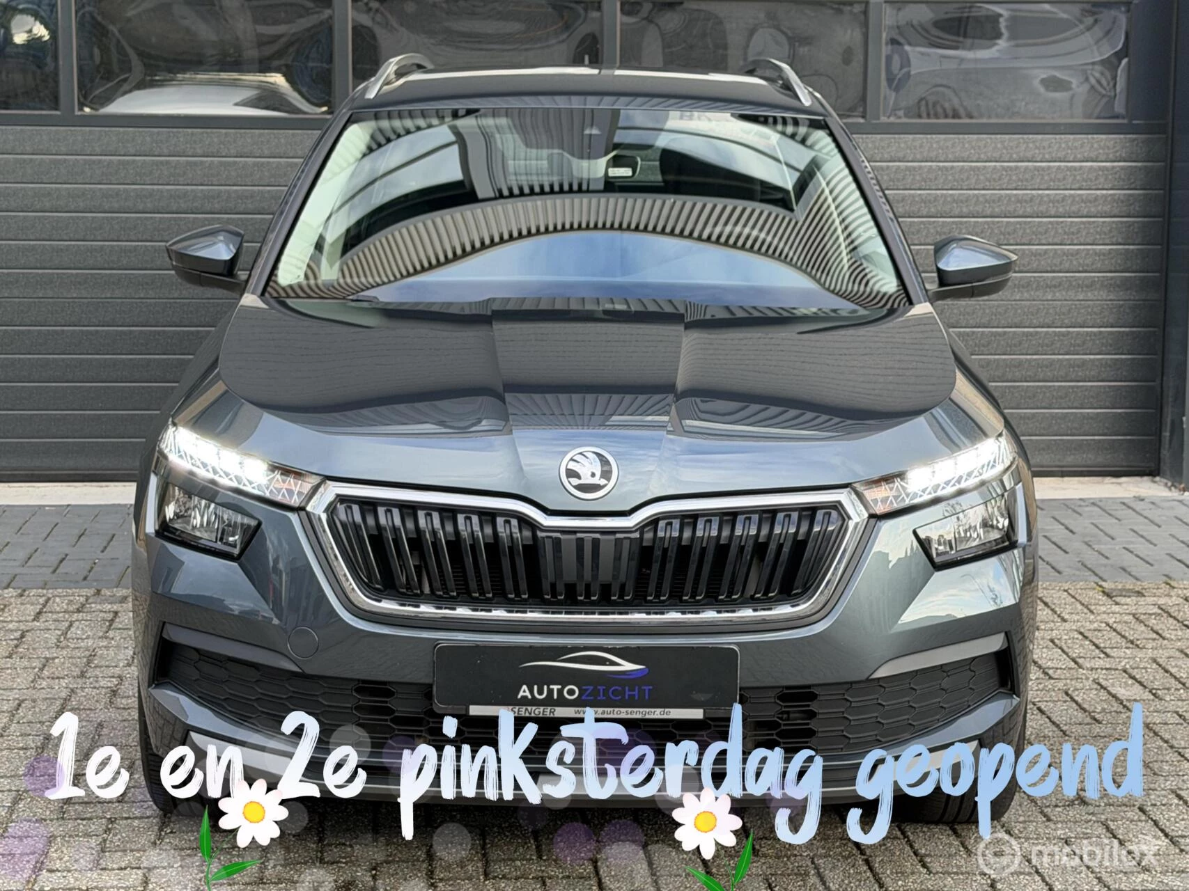 Hoofdafbeelding Škoda Kamiq