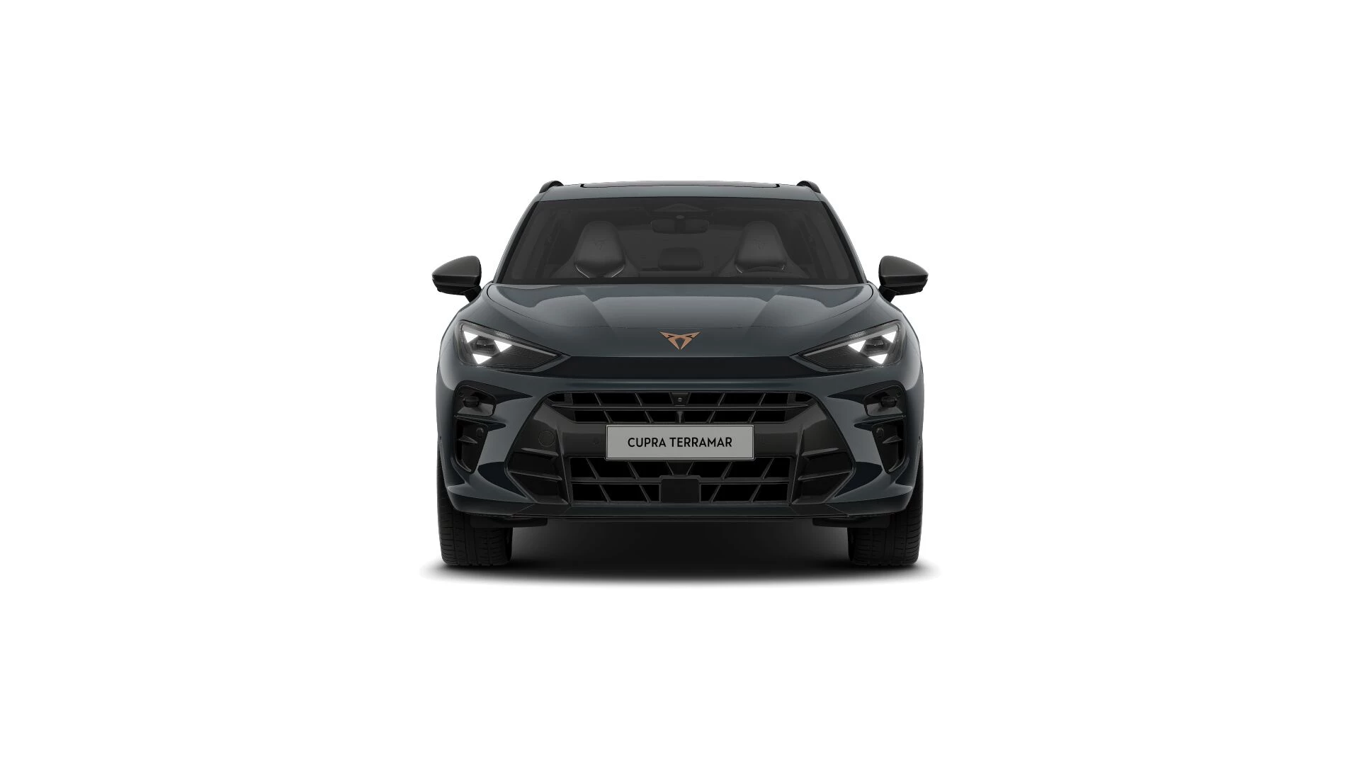 Hoofdafbeelding CUPRA Terramar