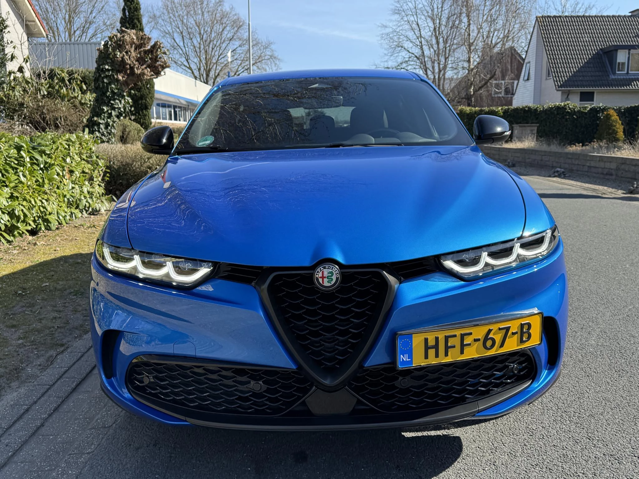 Hoofdafbeelding Alfa Romeo Tonale