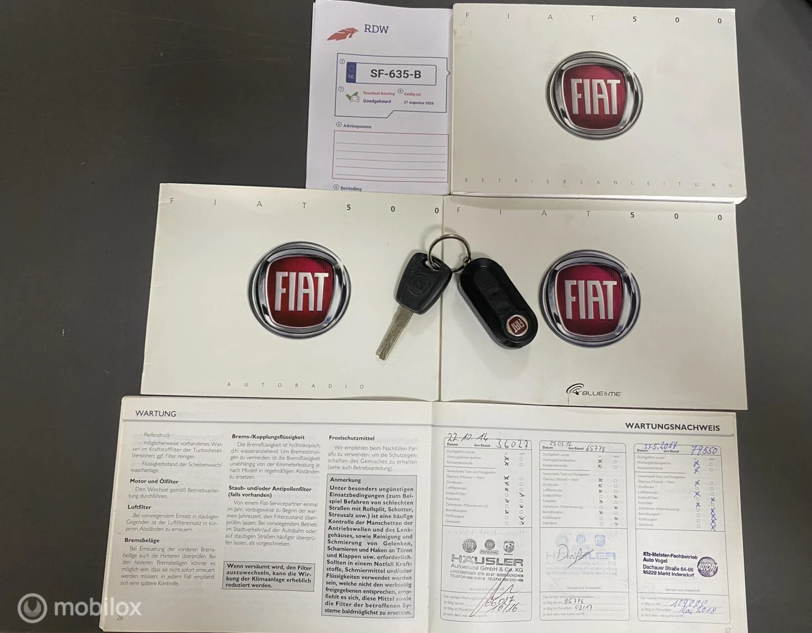 Hoofdafbeelding Fiat 500