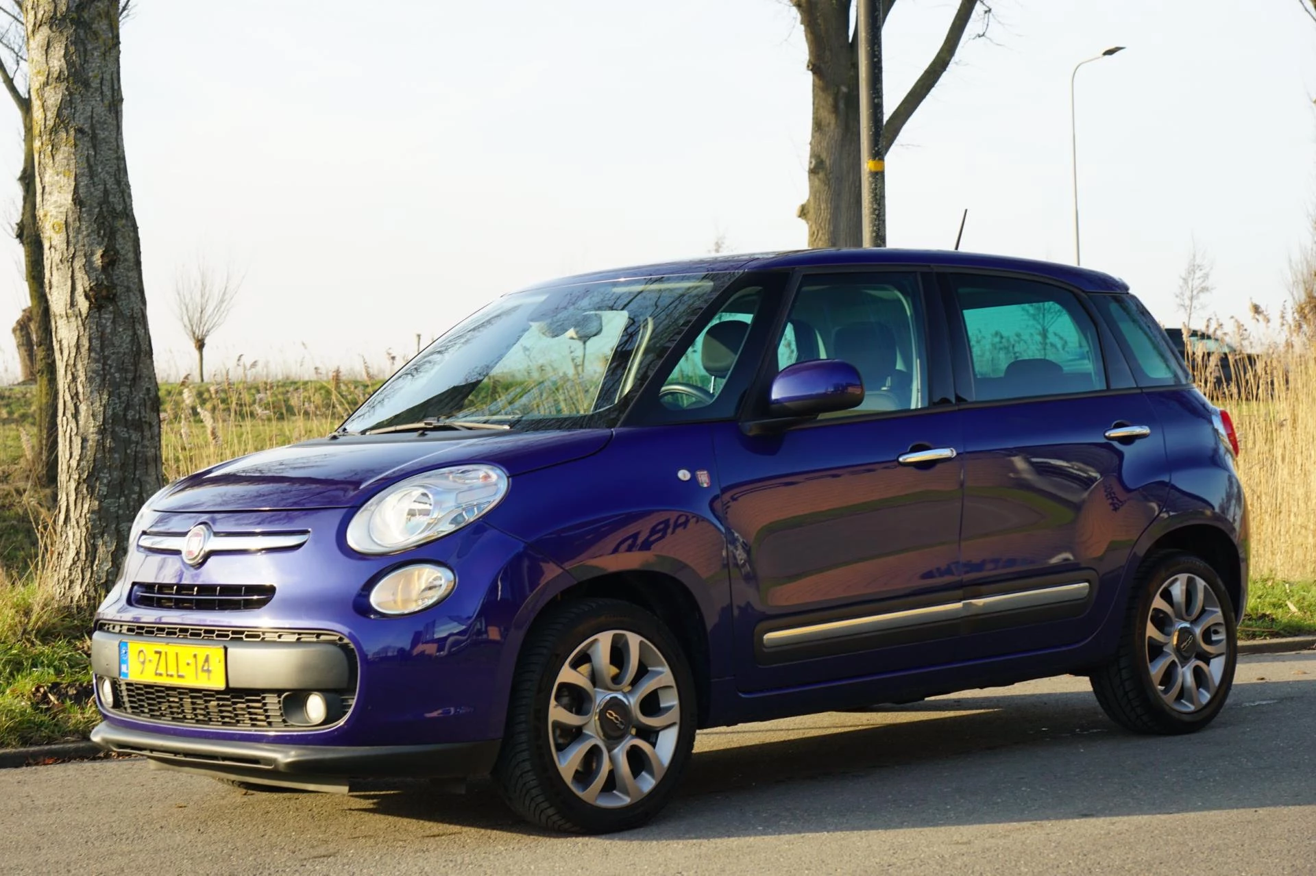 Hoofdafbeelding Fiat 500L