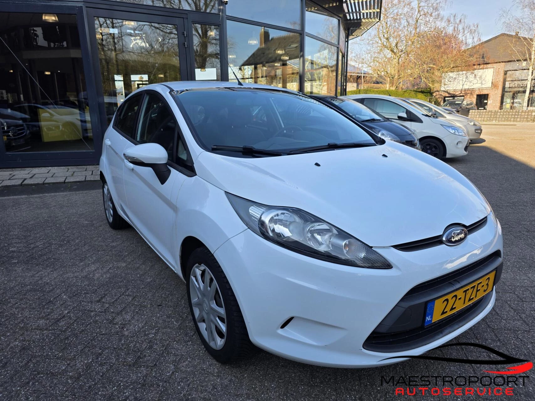 Hoofdafbeelding Ford Fiesta