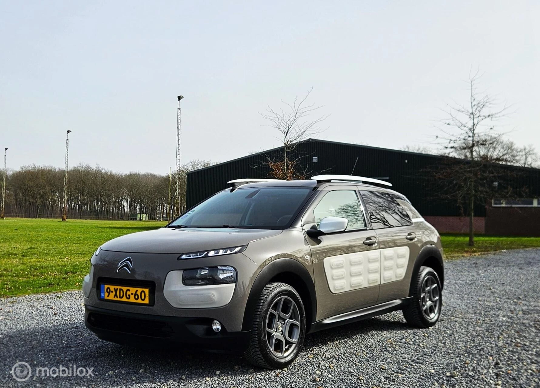 Hoofdafbeelding Citroën C4 Cactus