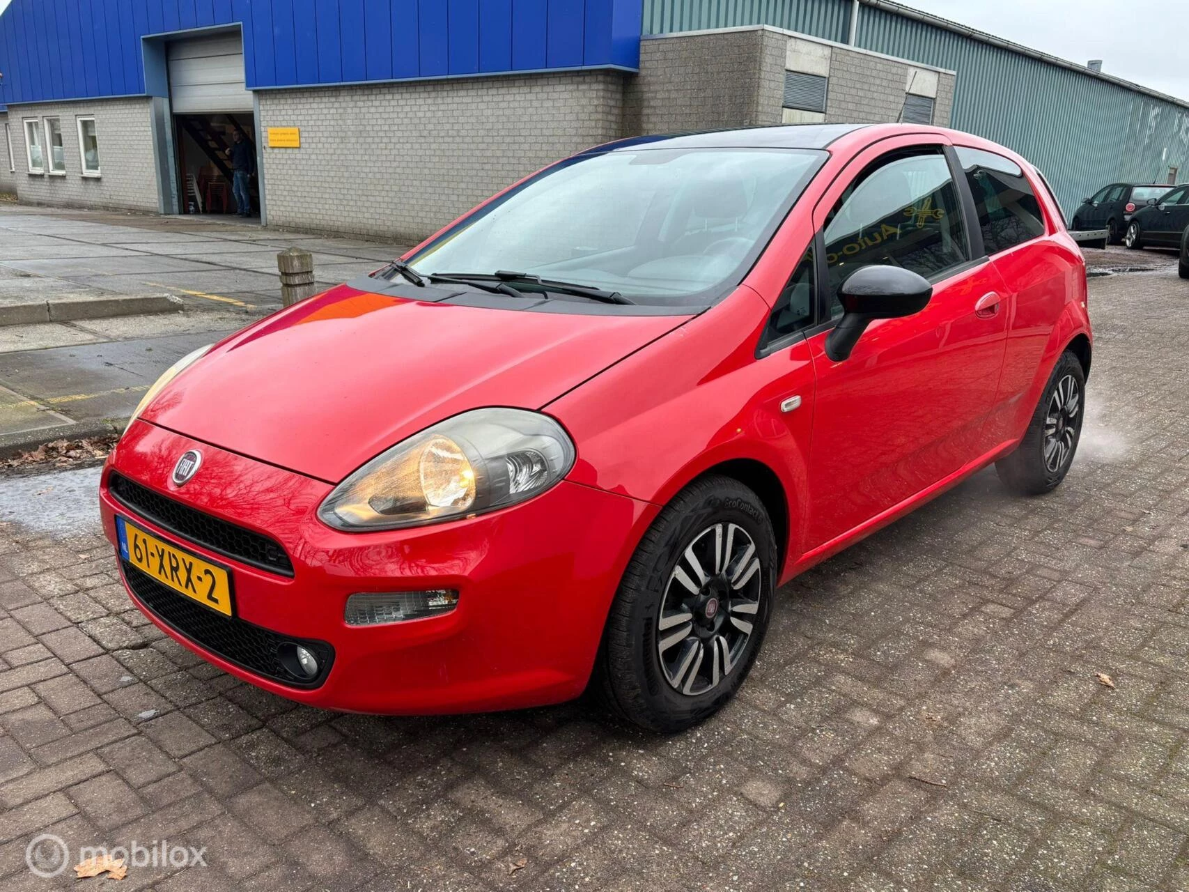 Hoofdafbeelding Fiat Punto