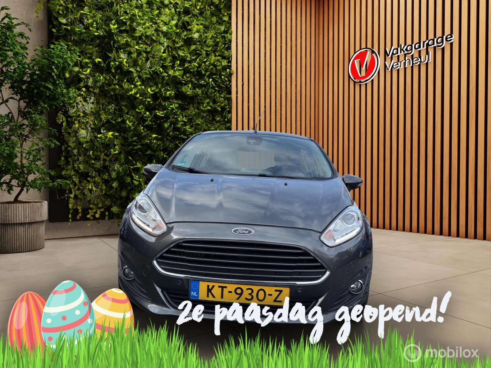 Hoofdafbeelding Ford Fiesta