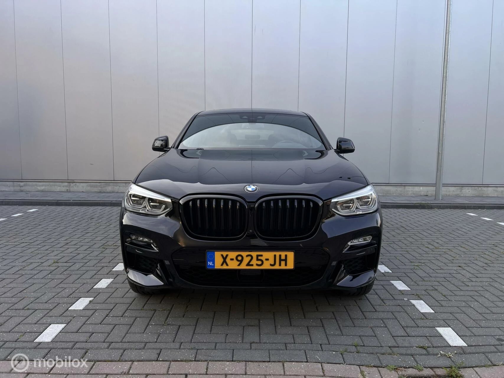 Hoofdafbeelding BMW X4