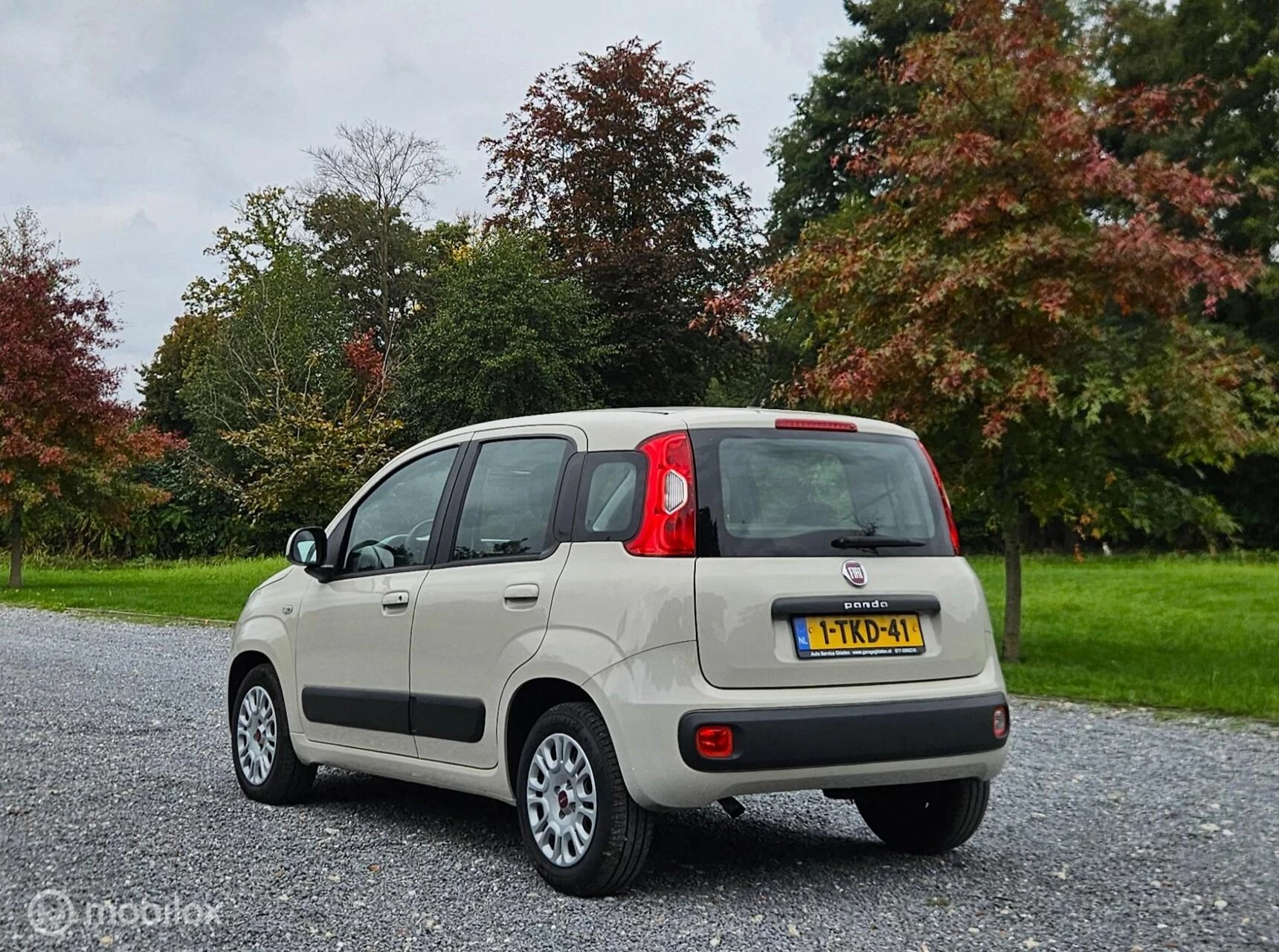 Hoofdafbeelding Fiat Panda