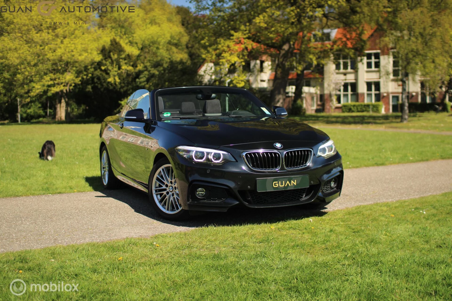Hoofdafbeelding BMW 2 Serie
