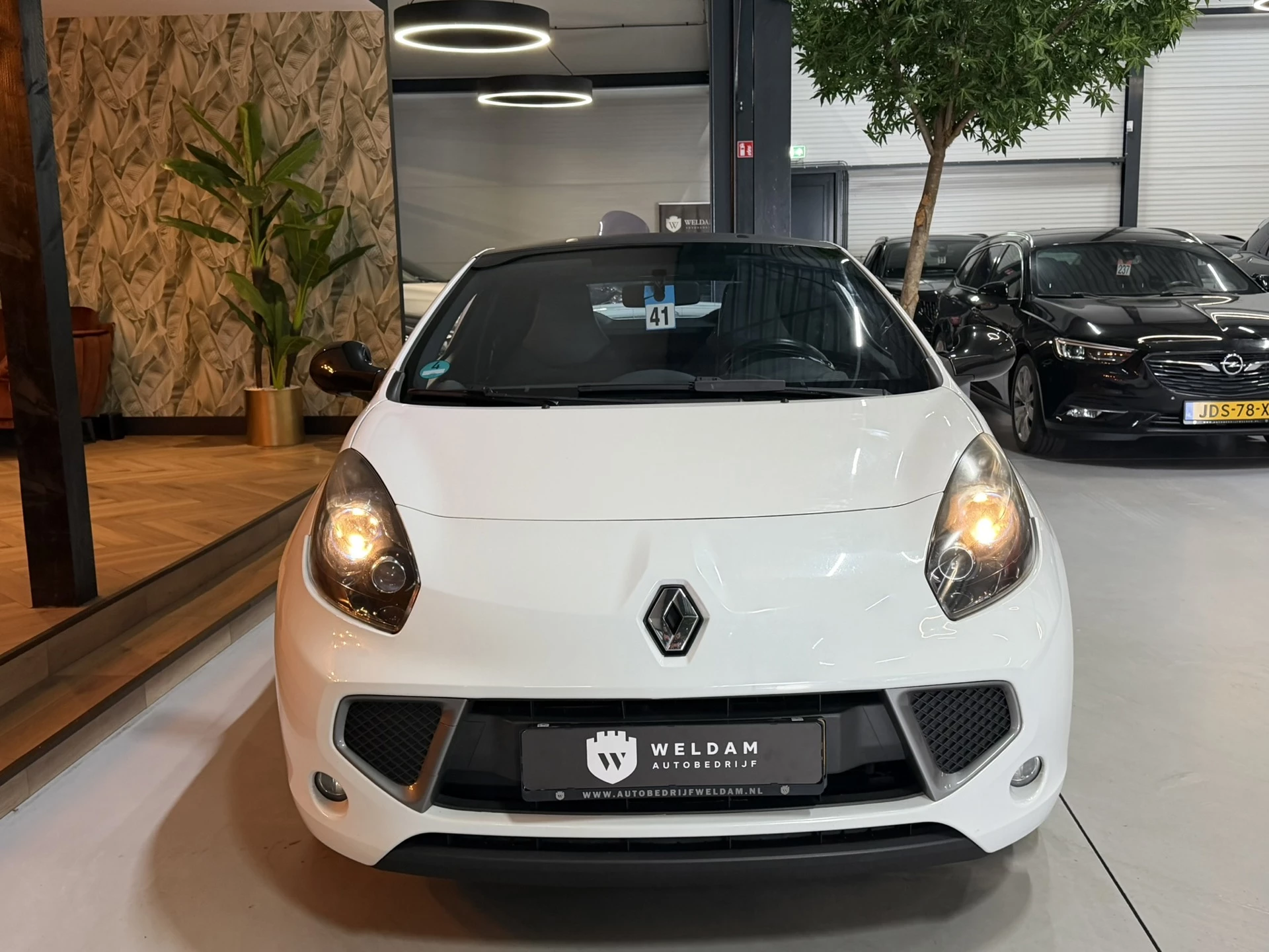 Hoofdafbeelding Renault Wind