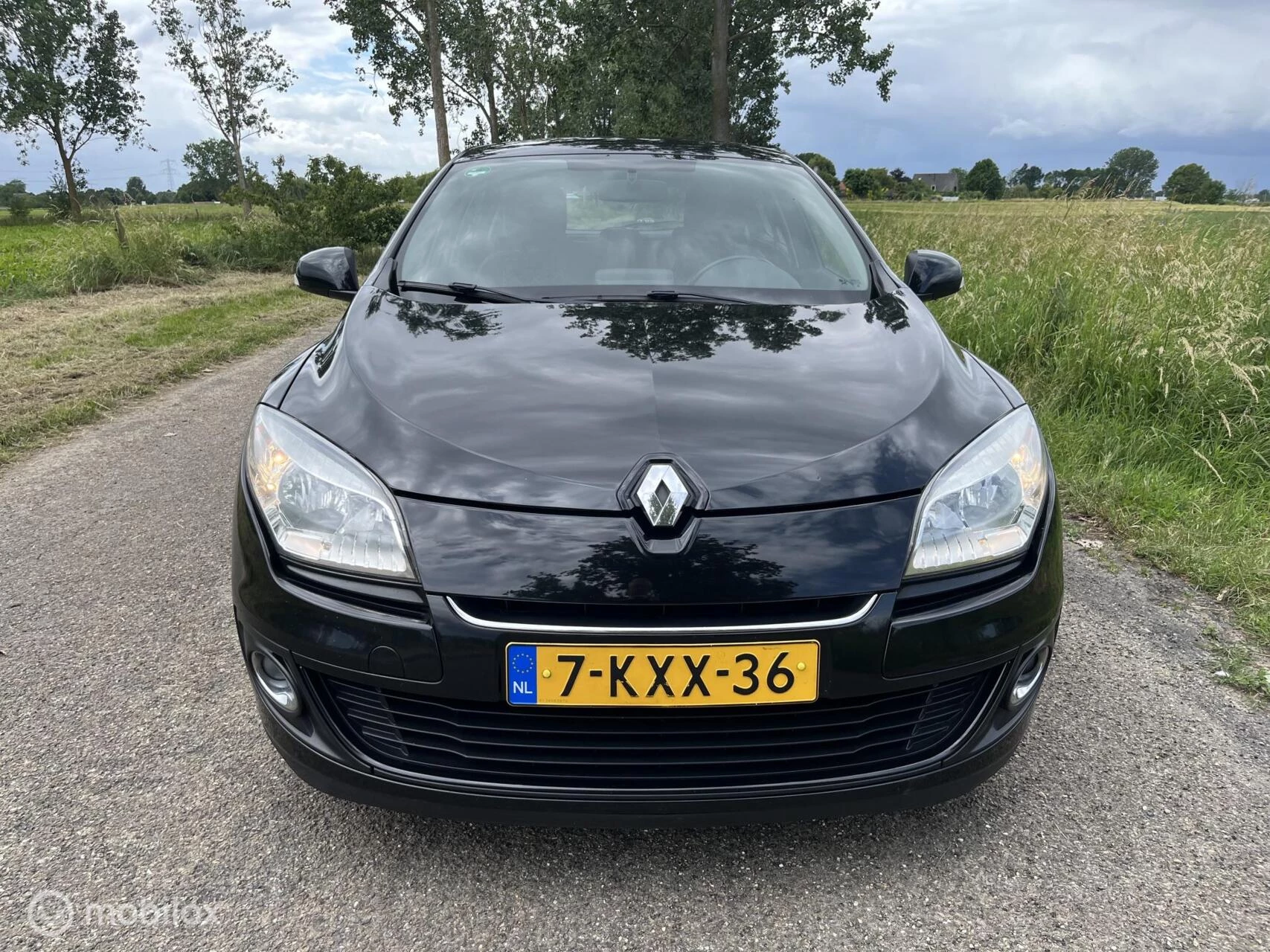 Hoofdafbeelding Renault Mégane