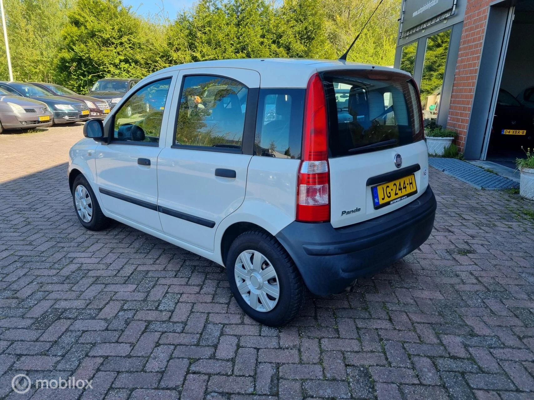 Hoofdafbeelding Fiat Panda