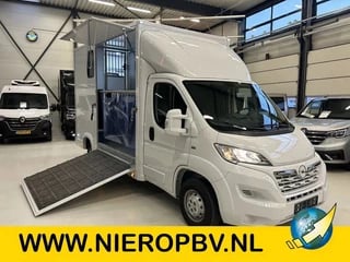 Opel Paardenwagen Hengsten Uitvoering Airco Cruisecontrol NIEUW