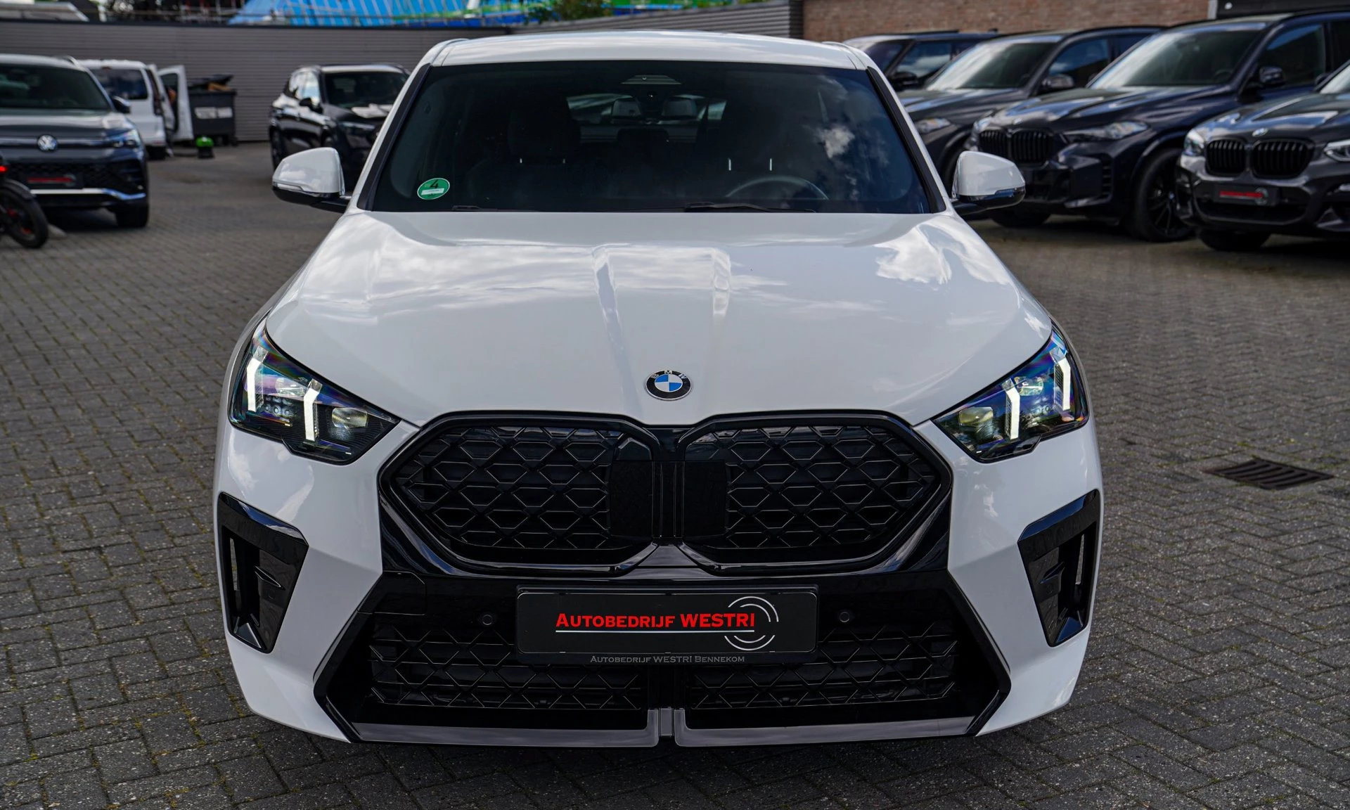 Hoofdafbeelding BMW X2