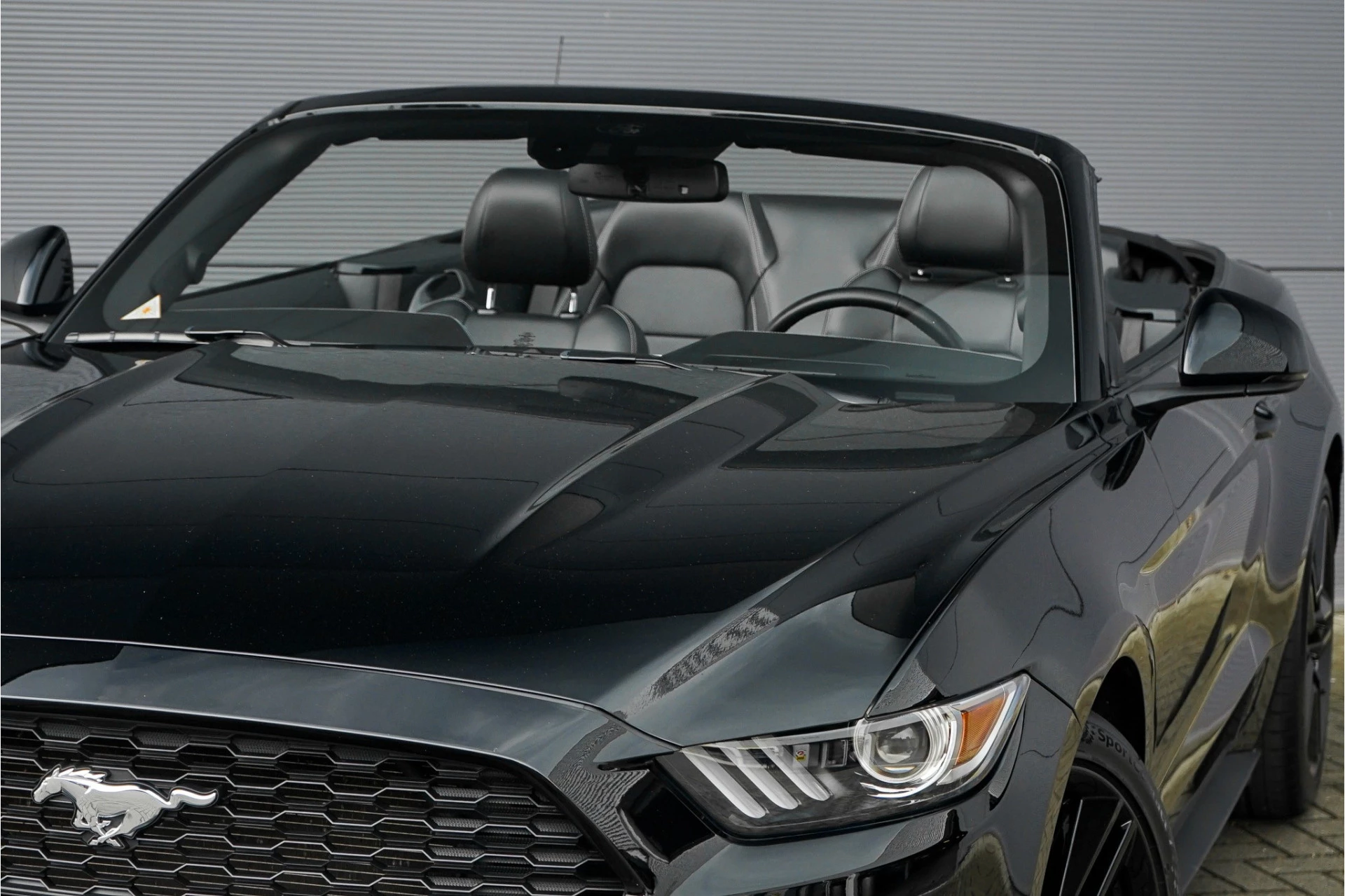 Hoofdafbeelding Ford Mustang