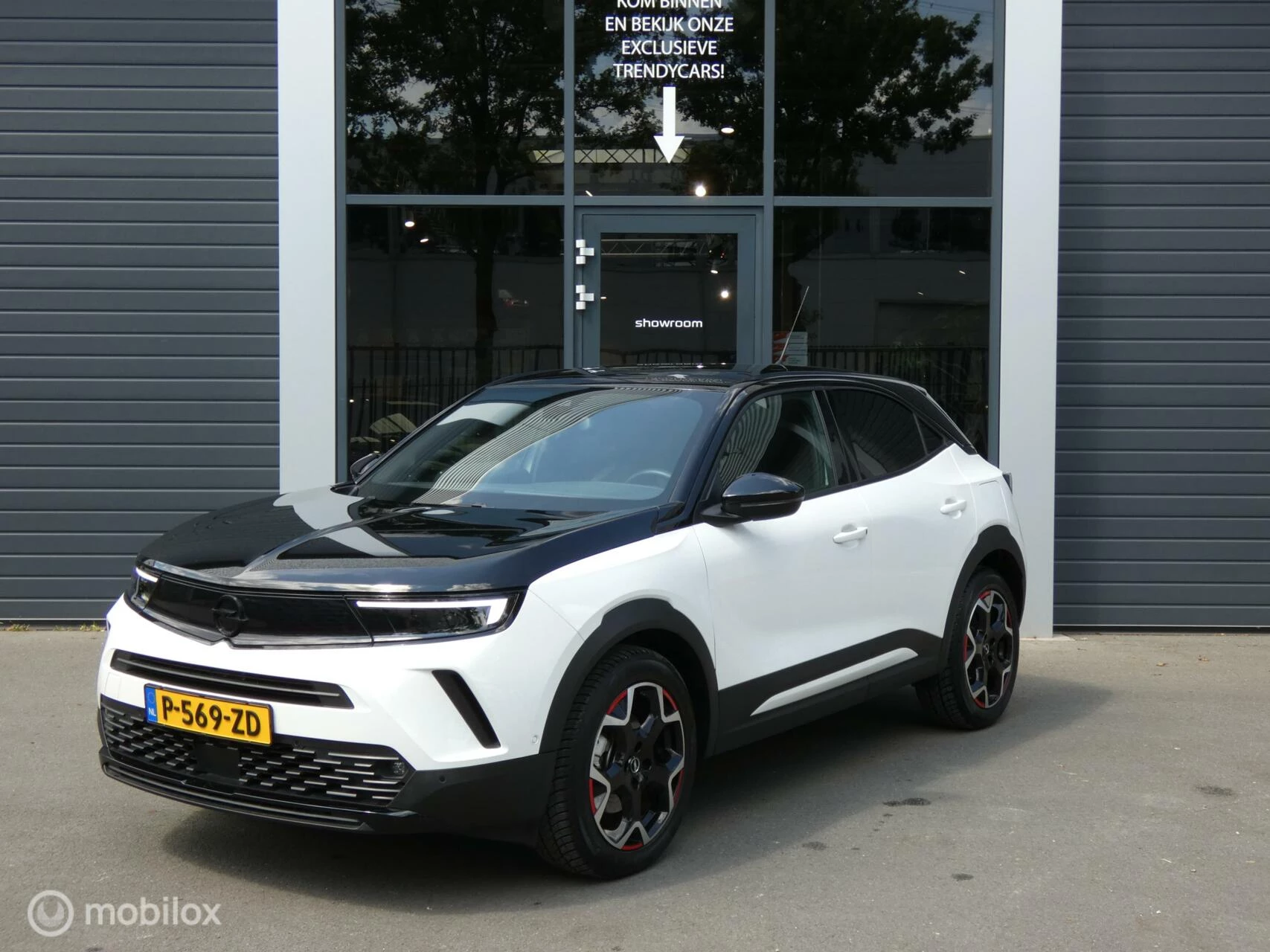 Hoofdafbeelding Opel Mokka-e