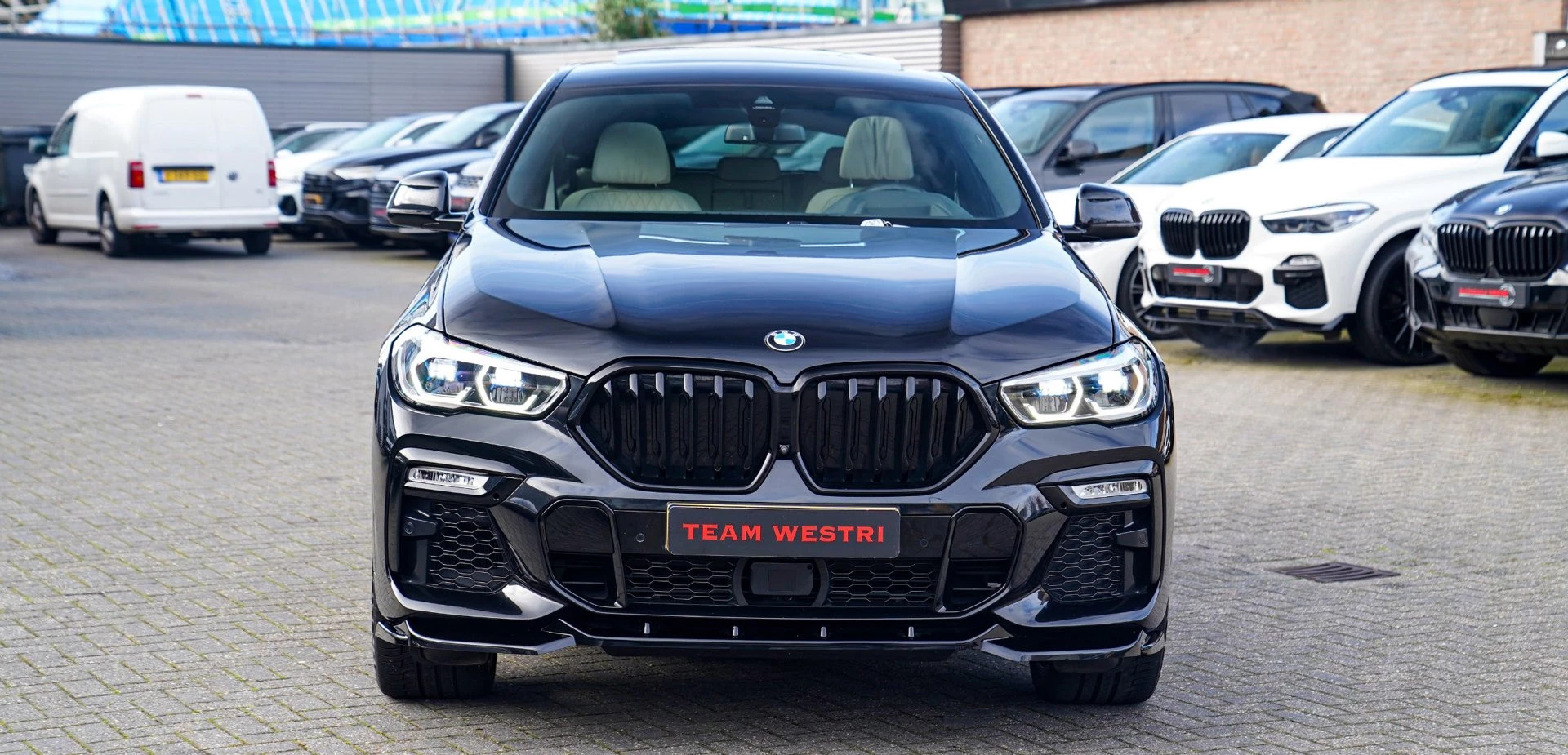 Hoofdafbeelding BMW X6