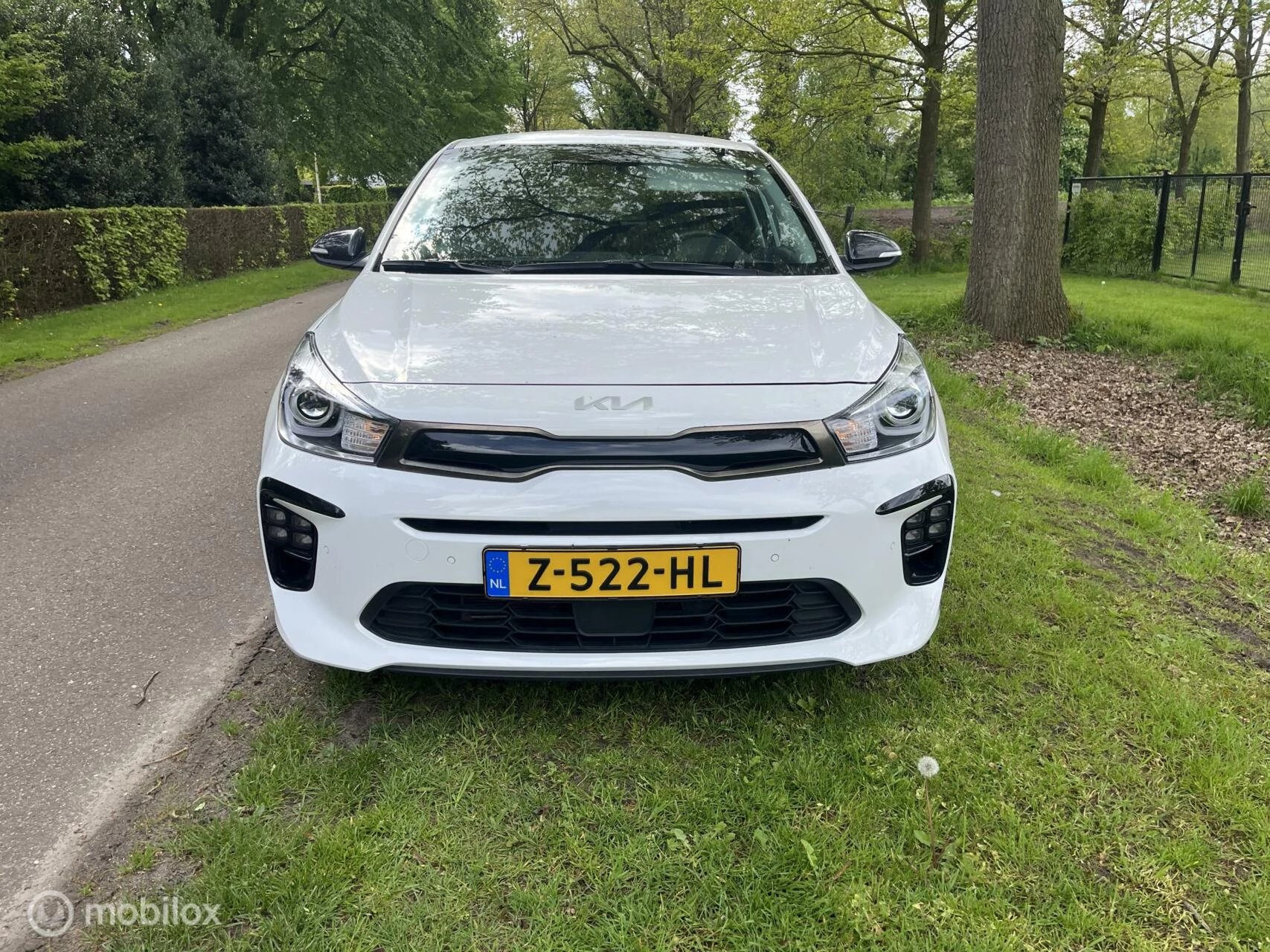 Hoofdafbeelding Kia Rio