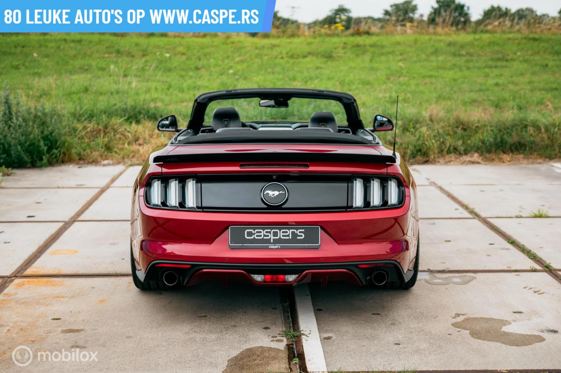 Hoofdafbeelding Ford Mustang