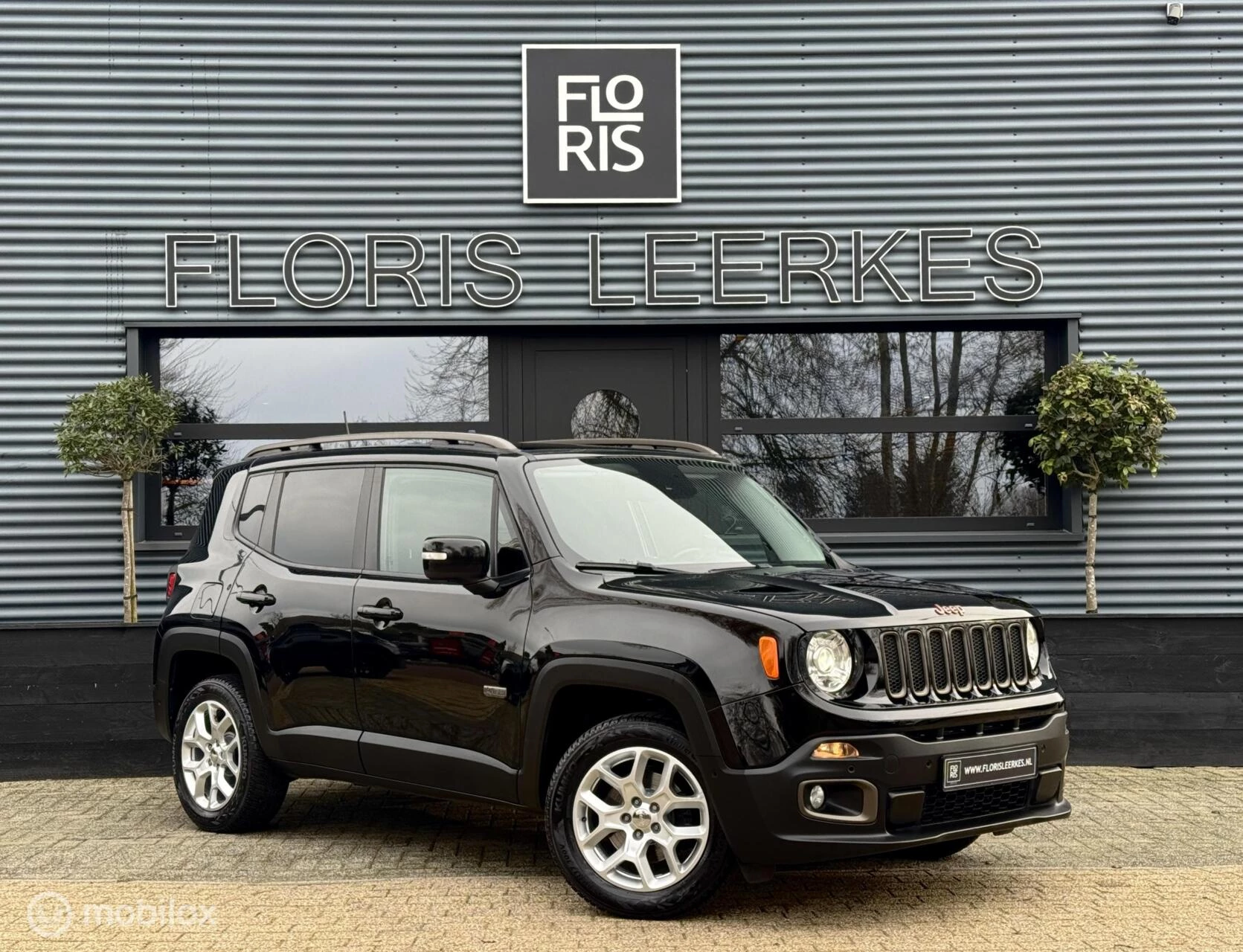 Hoofdafbeelding Jeep Renegade