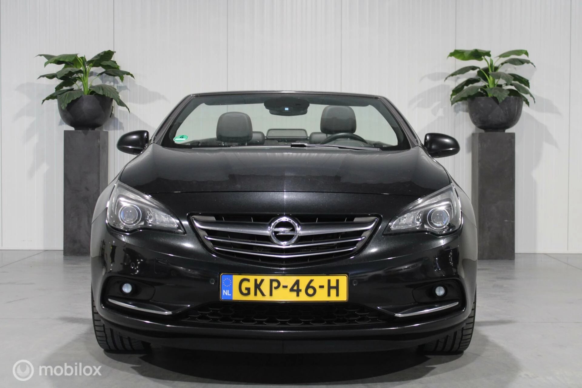 Hoofdafbeelding Opel Cascada