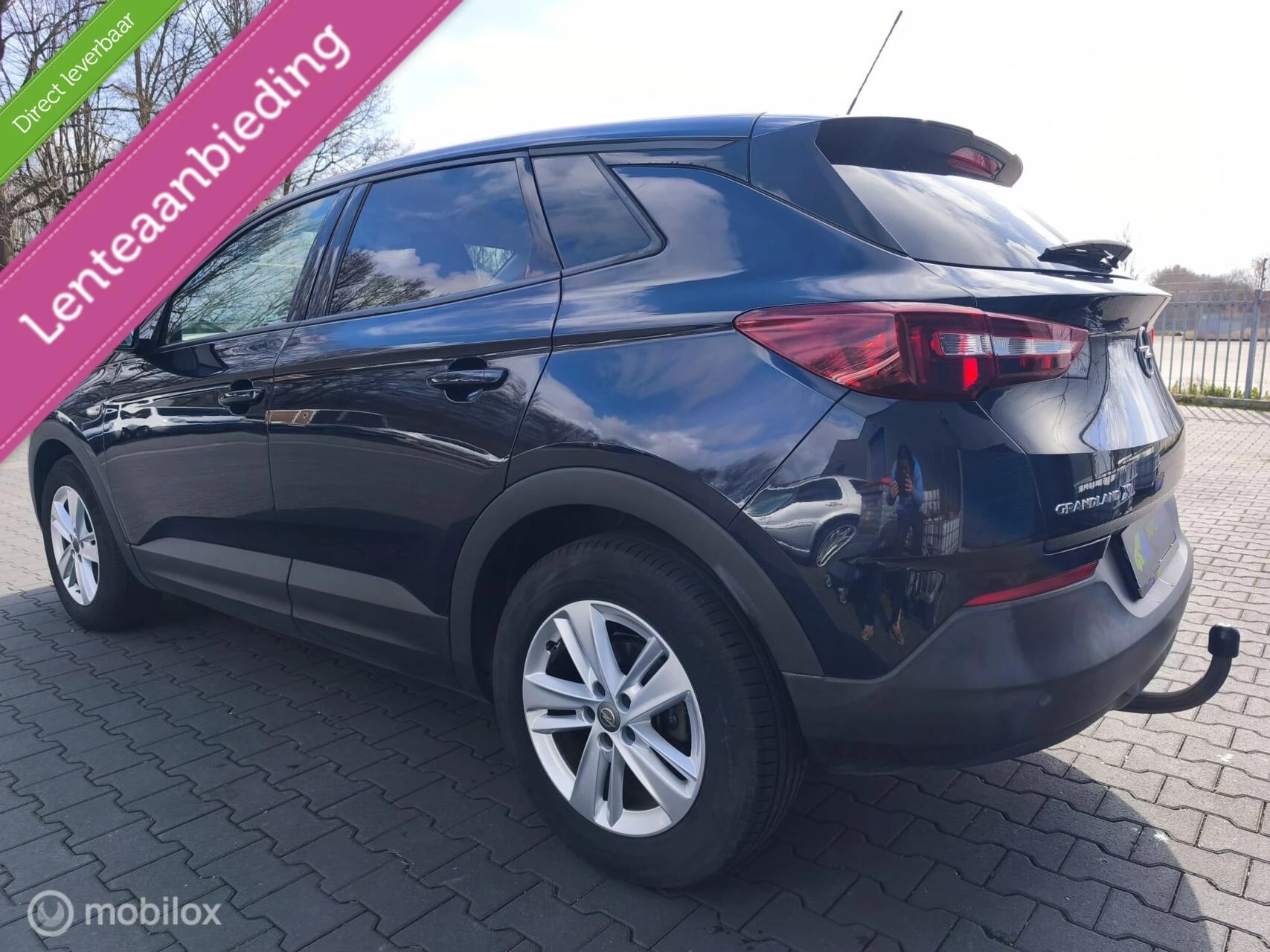 Hoofdafbeelding Opel Grandland X