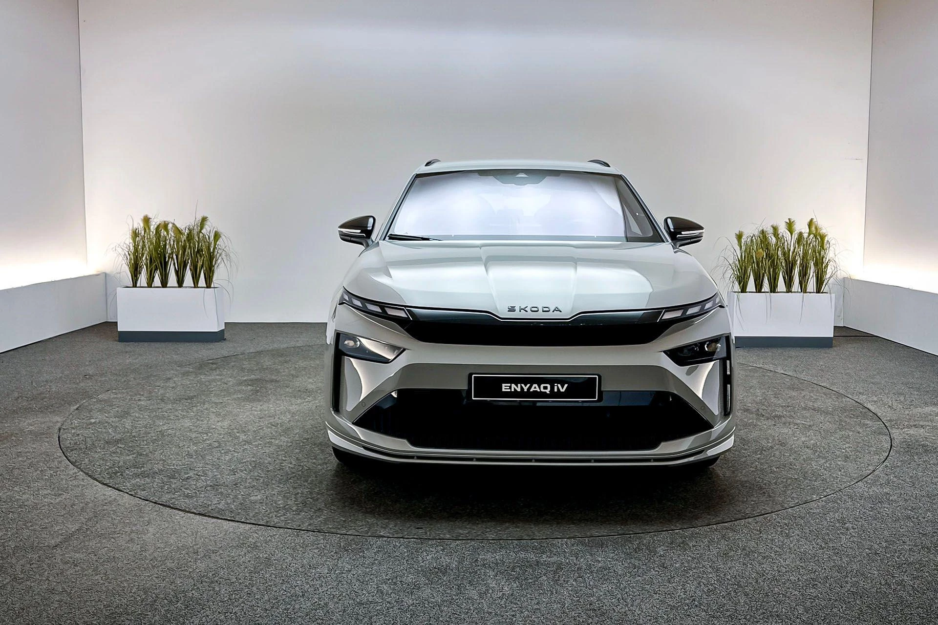 Hoofdafbeelding Škoda Enyaq iV