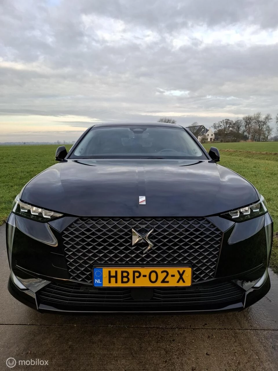 Hoofdafbeelding DS DS 4