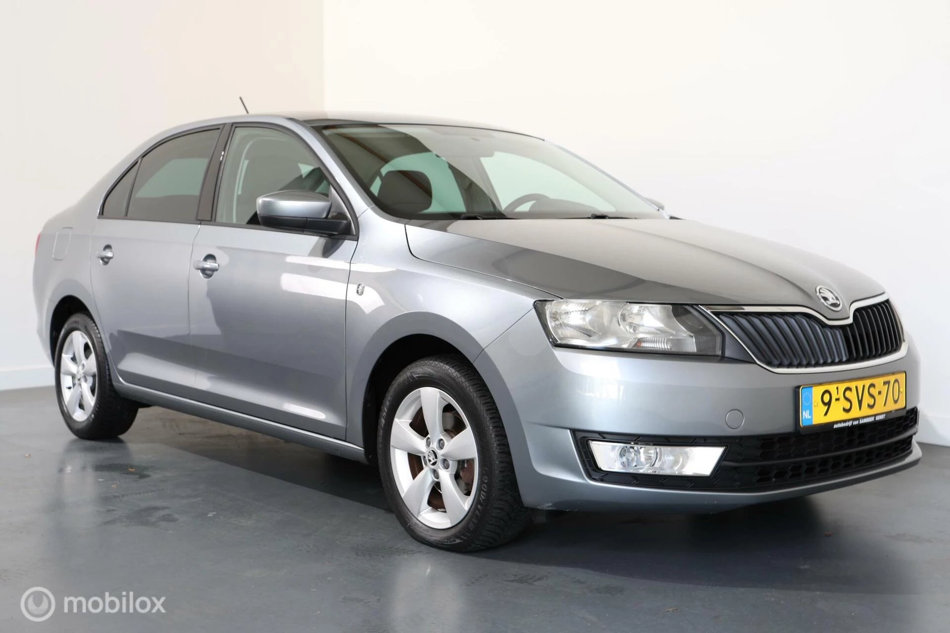 Hoofdafbeelding Škoda Rapid