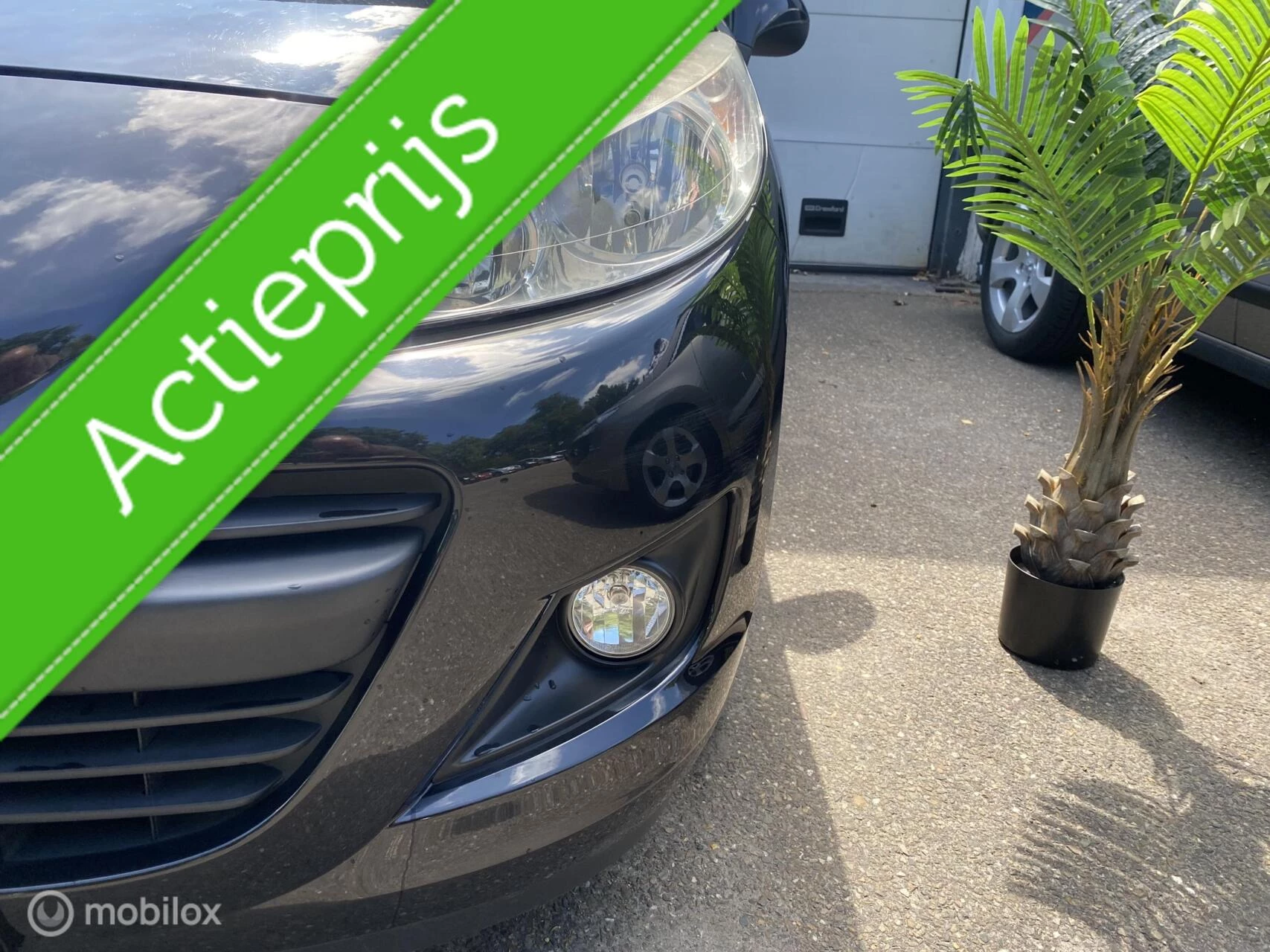 Hoofdafbeelding Peugeot 207