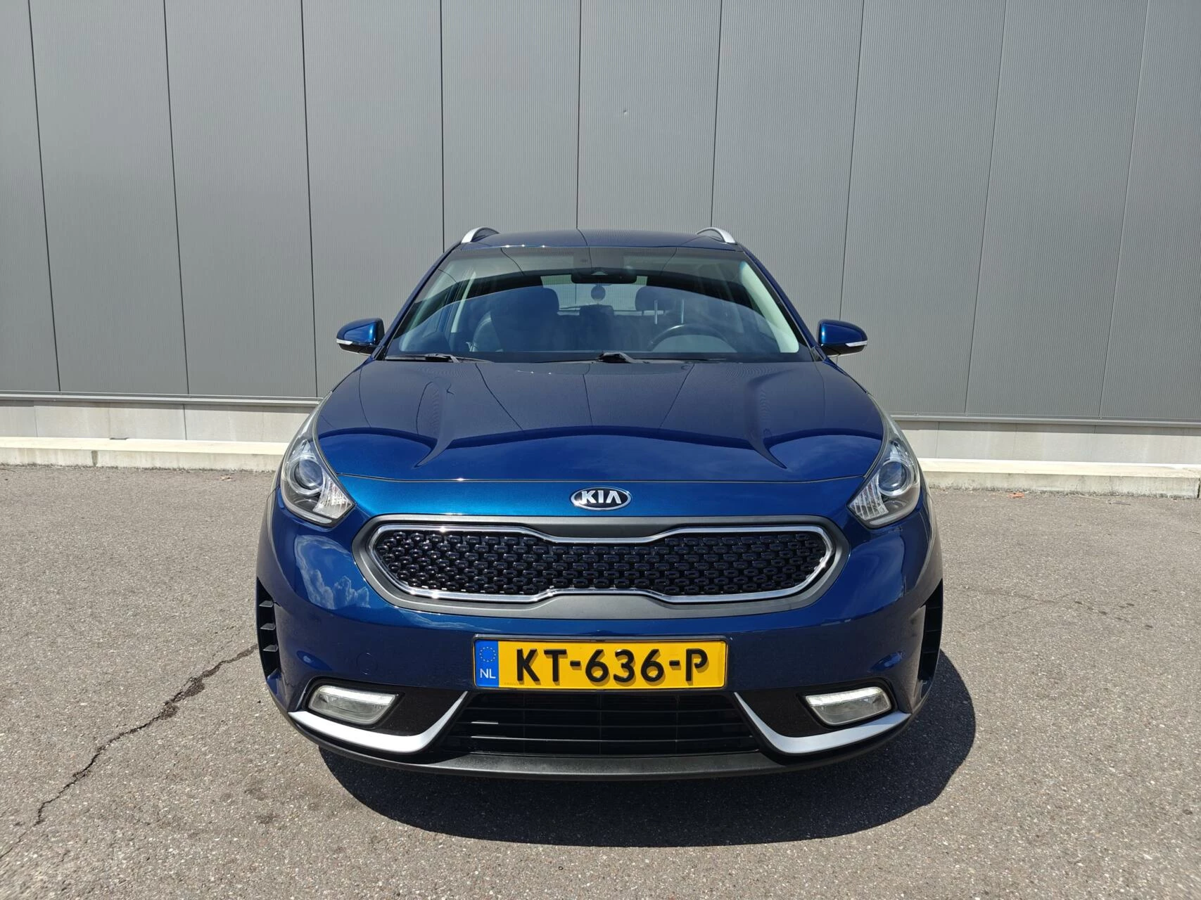 Hoofdafbeelding Kia Niro