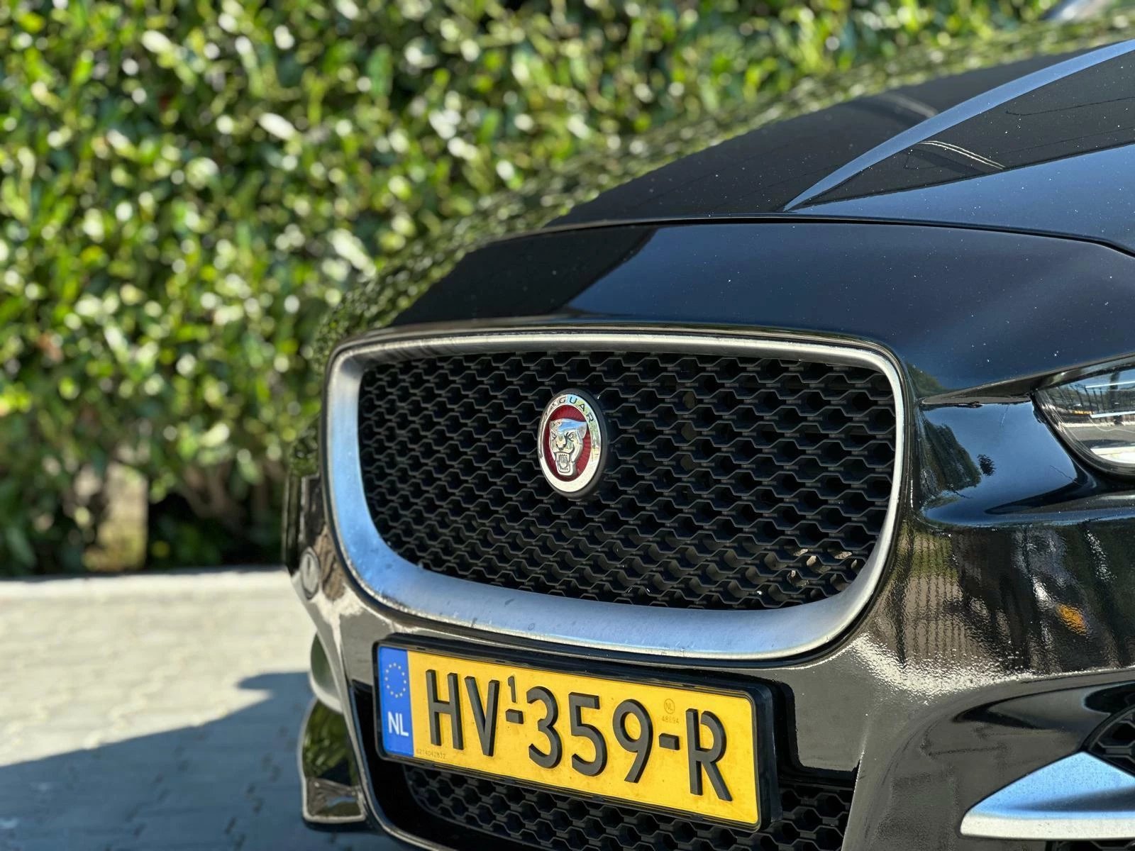 Hoofdafbeelding Jaguar XE