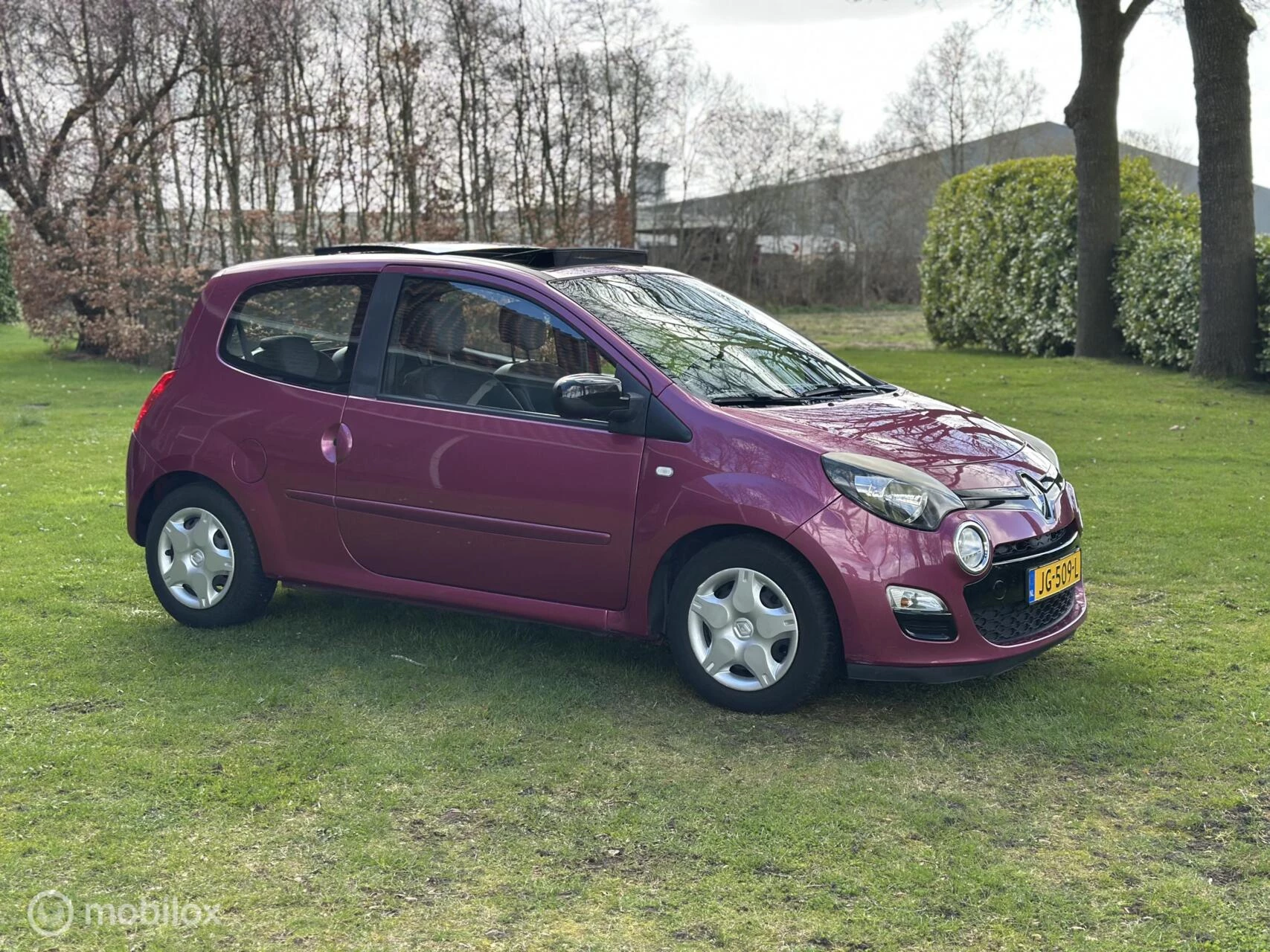 Hoofdafbeelding Renault Twingo